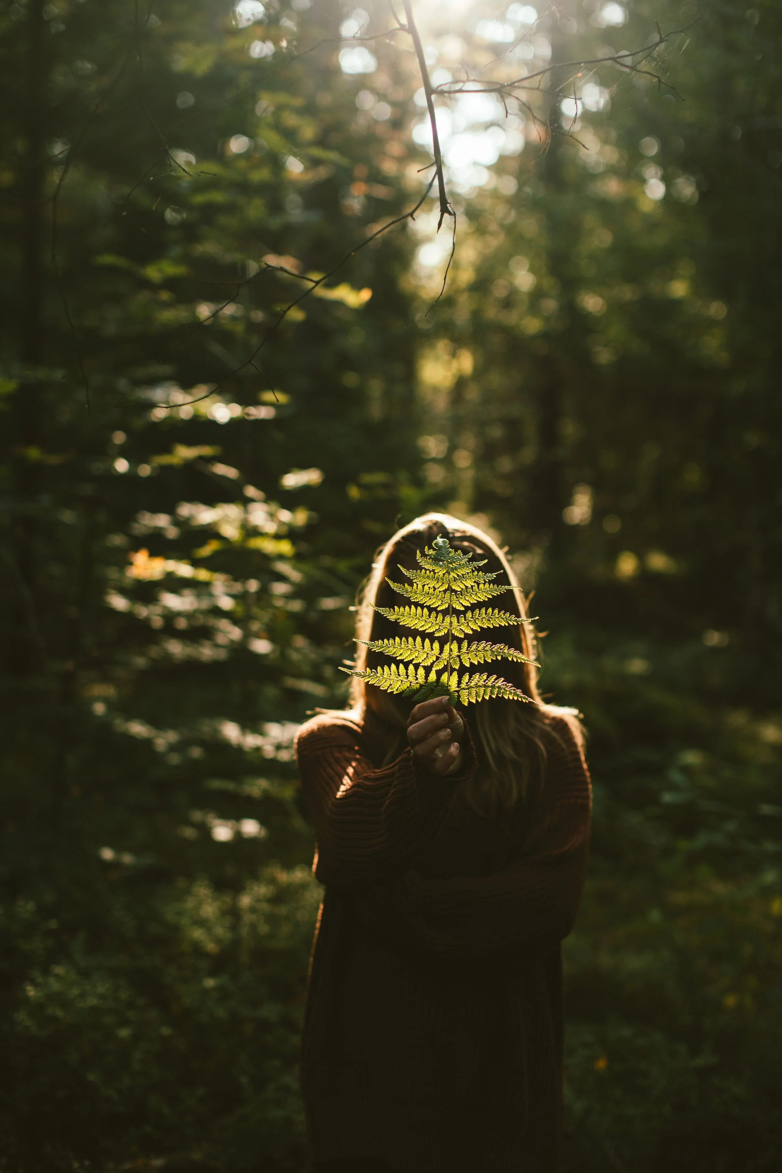 Journaling prompts for the earth element Inspiro yoga blog