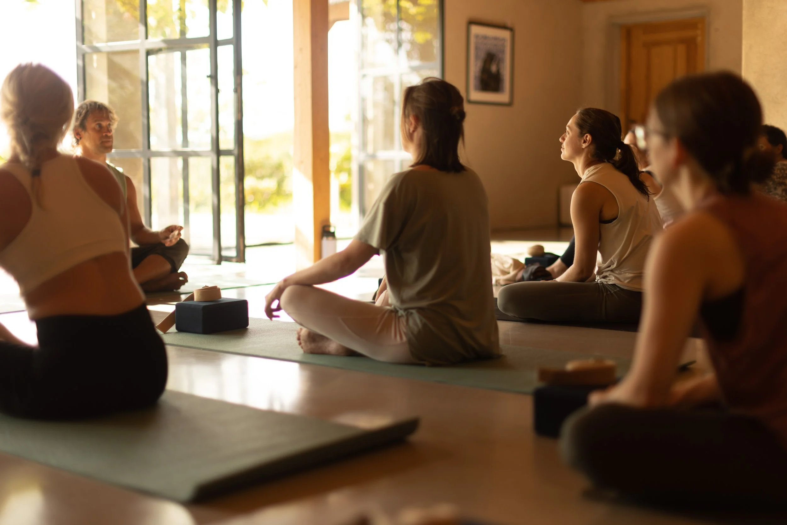 200 hour vinyasa yoga teacher training spring 2027