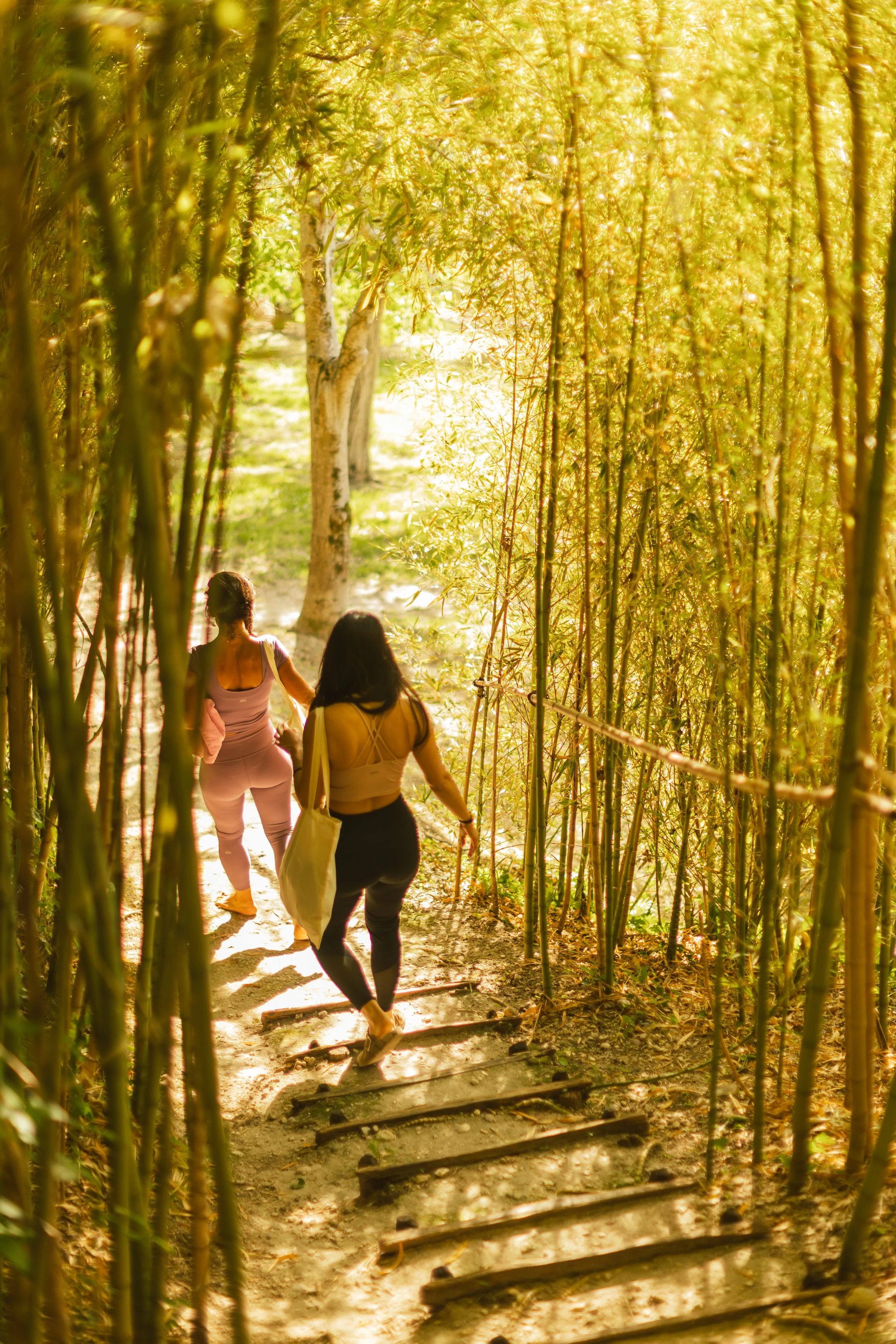 INSPIRO YOGA 75 HOUR ADVANCED VINYASA TEACHER TRAINING ITALY MAY 2027