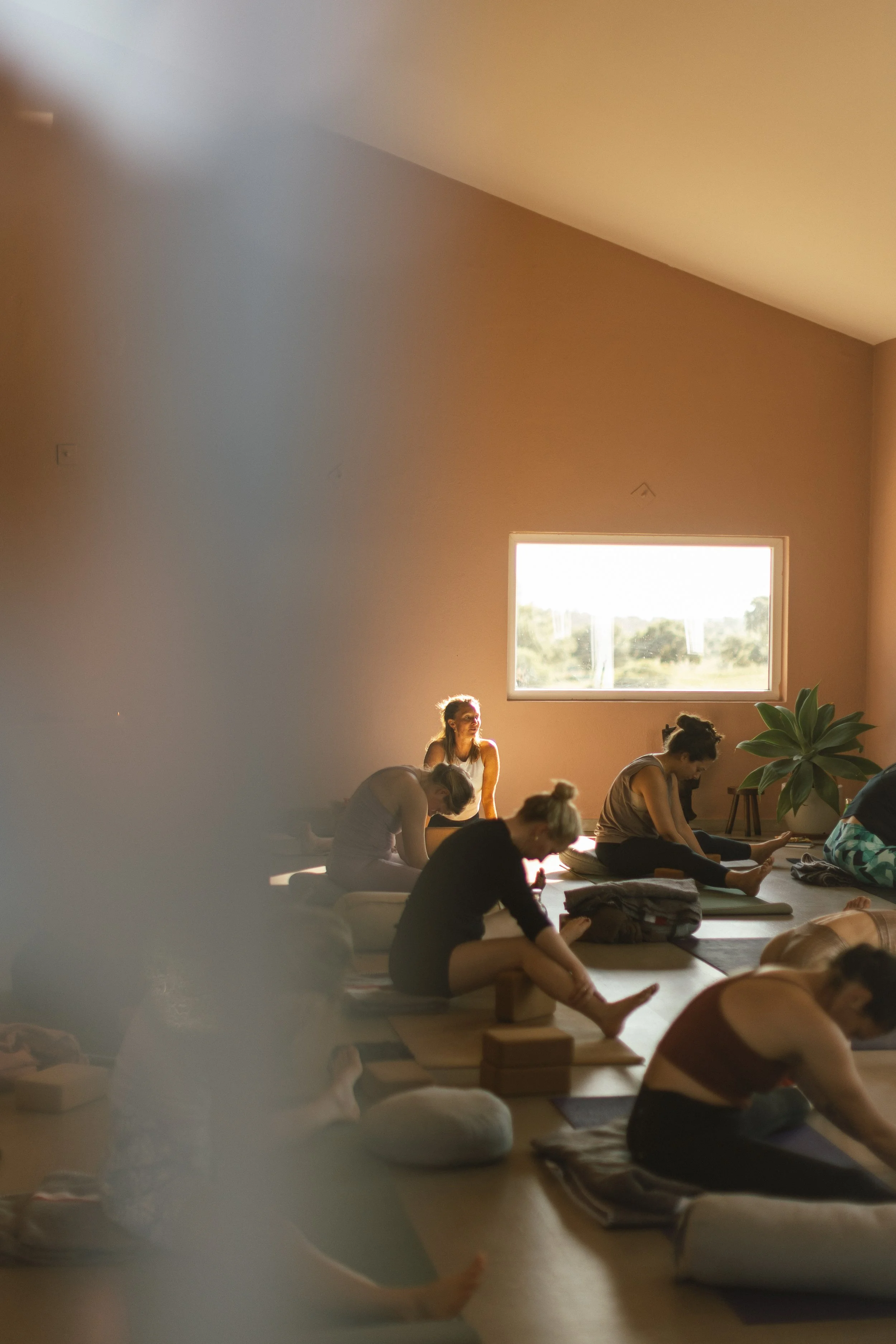 inspiro yoga advanced yoga teacher training