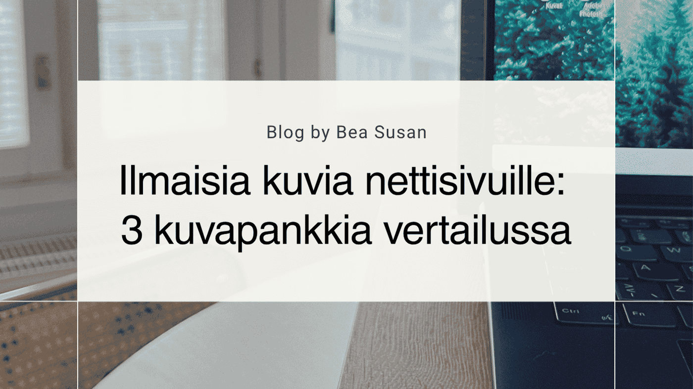 Mistä löydät ilmaisia kuvia nettisivuillesi? Kolme kuvapankkia vertailussa 💫