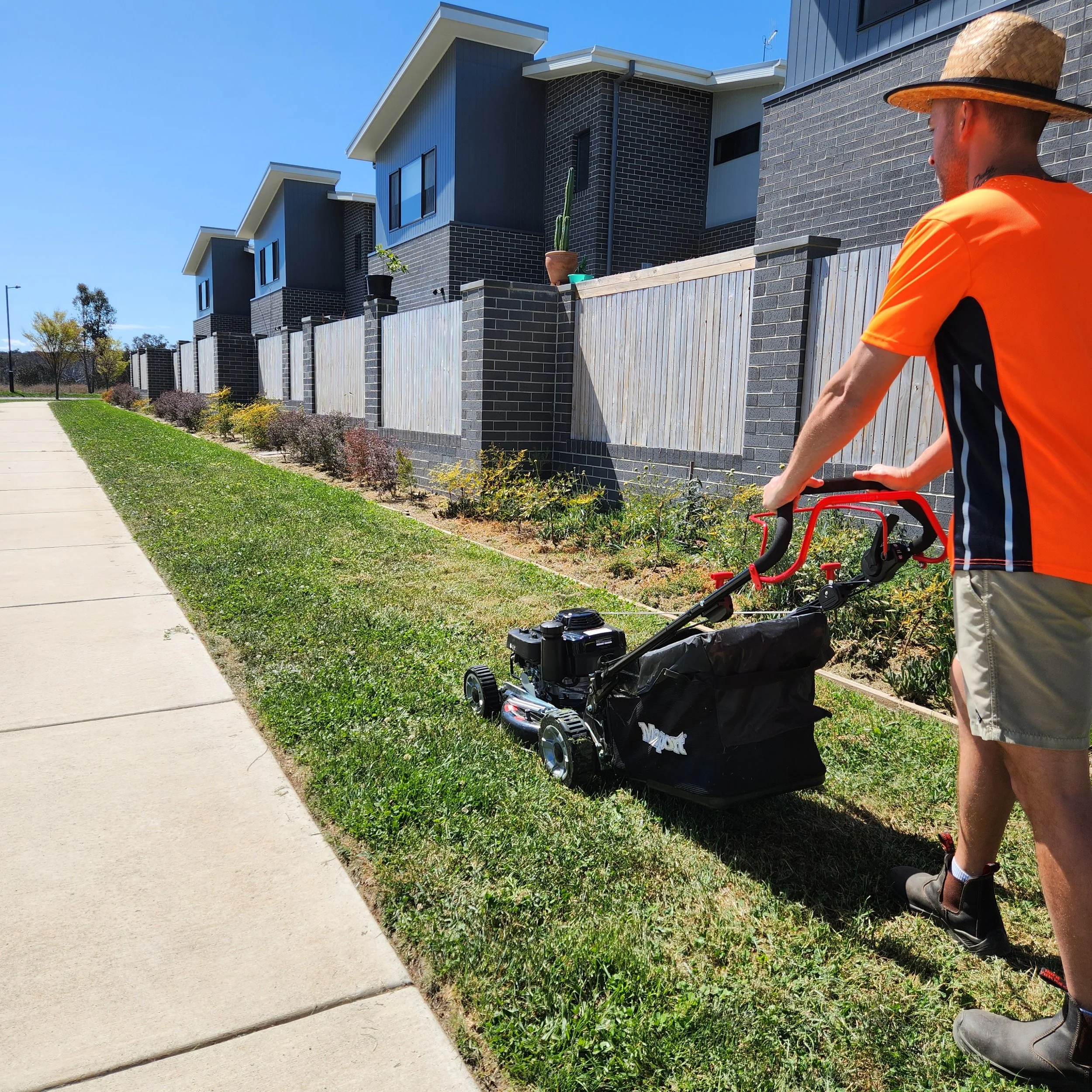 Maintain lawns and gardens