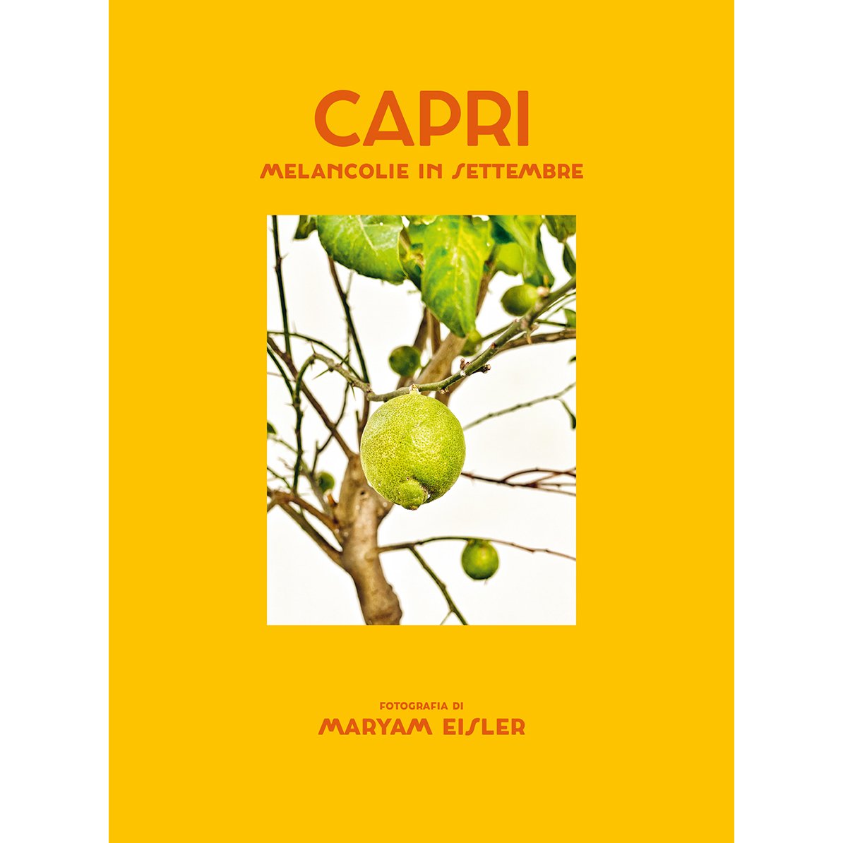Capri_book0.jpg