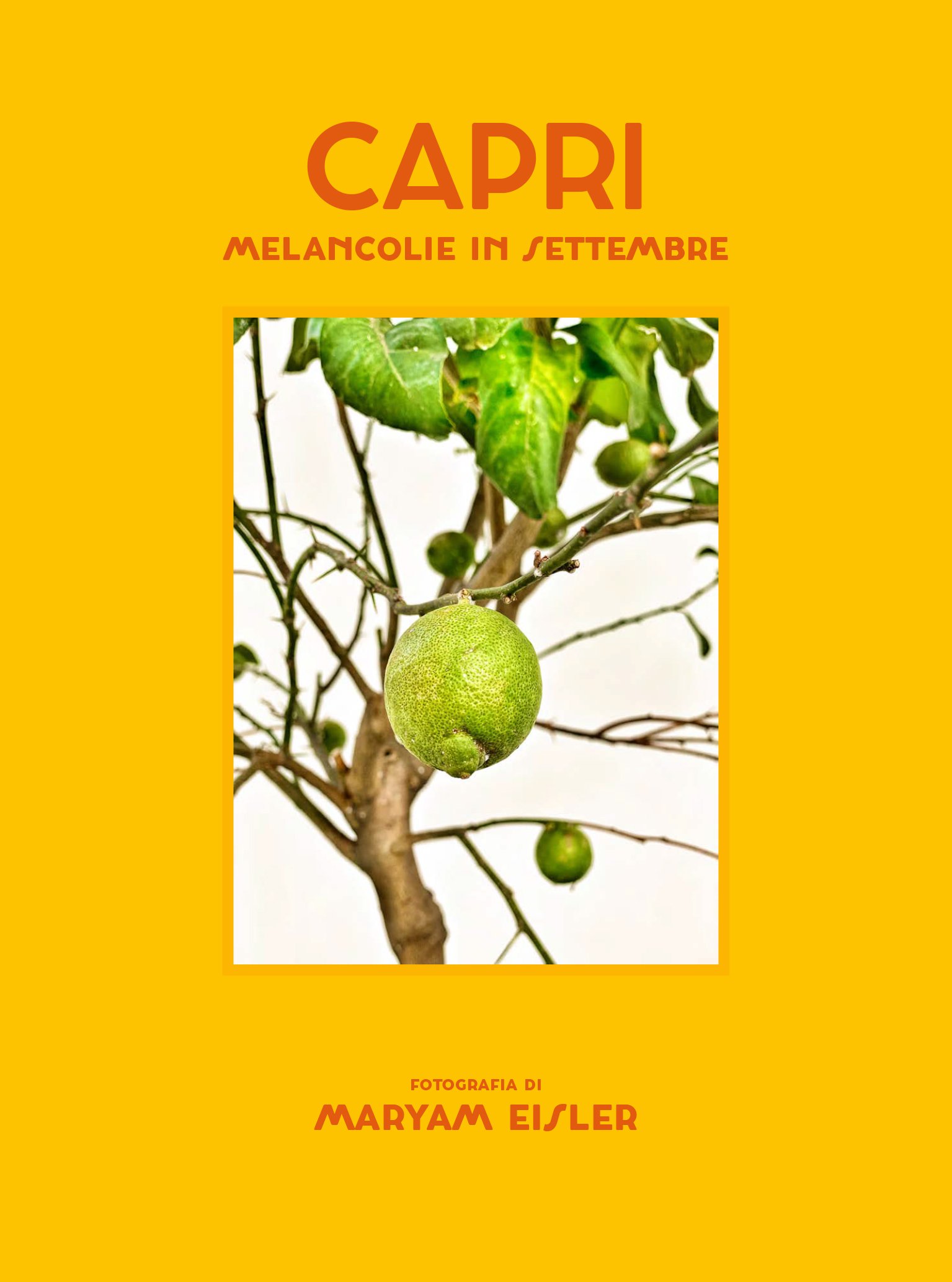 ME_Capri_book_cover.jpg