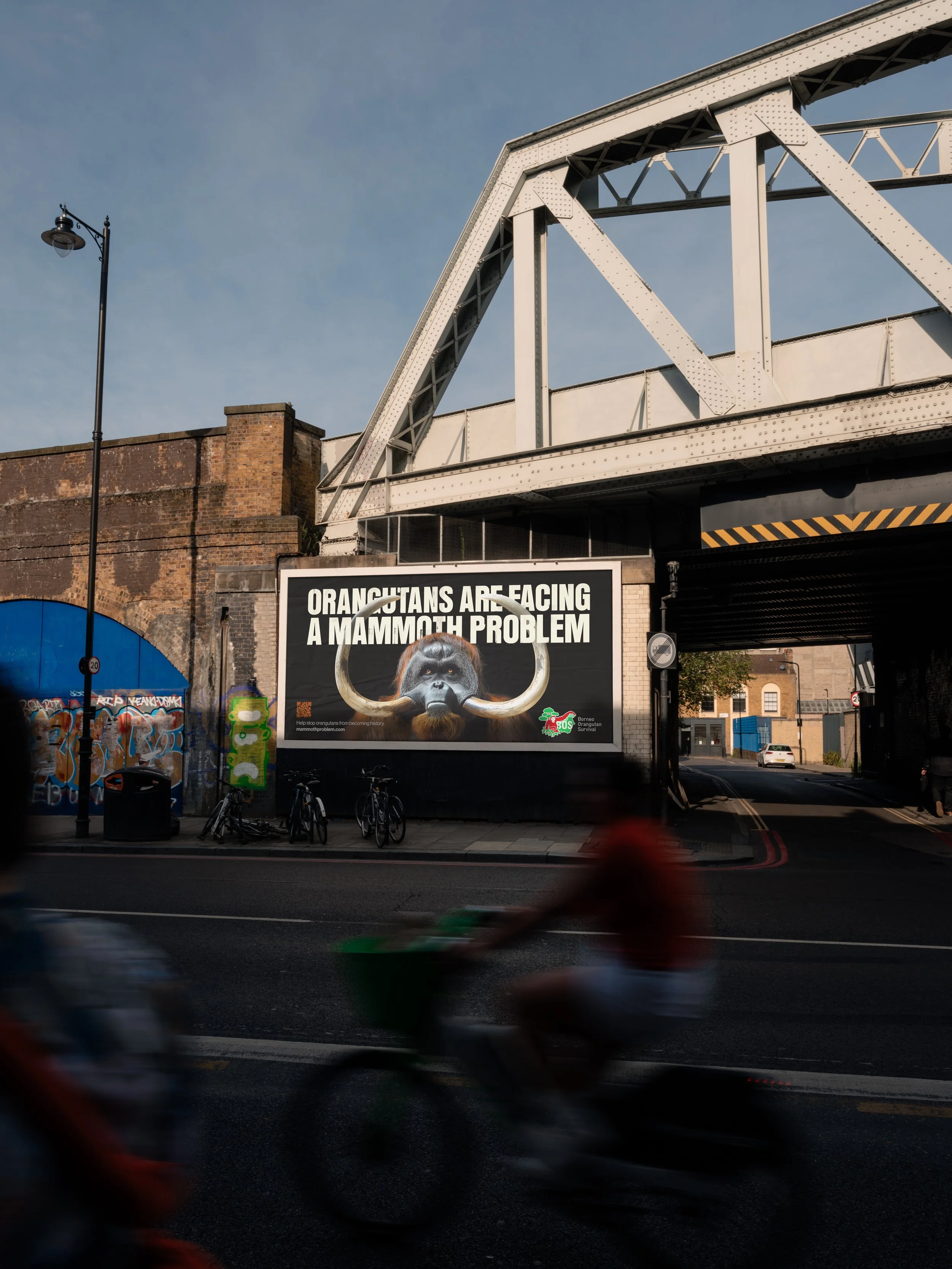 BOS 48$ Billboard (1).jpg