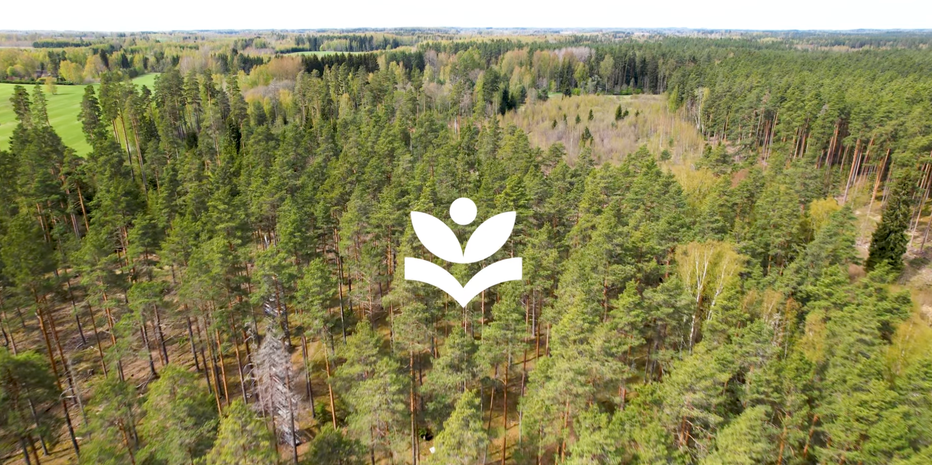 EMÜ - Puidu väärindamine, õppekava tutvustav video