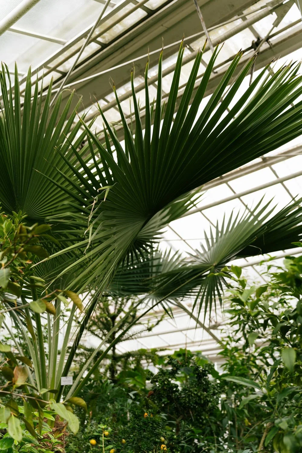 2024_10_Botanischer_Garten-5539.jpg