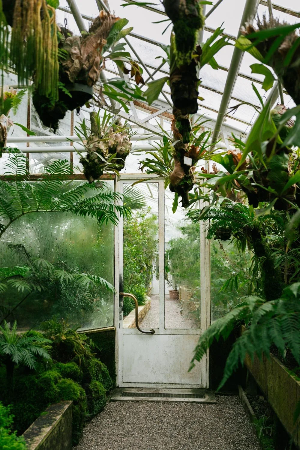 2024_10_Botanischer_Garten-5563.jpg