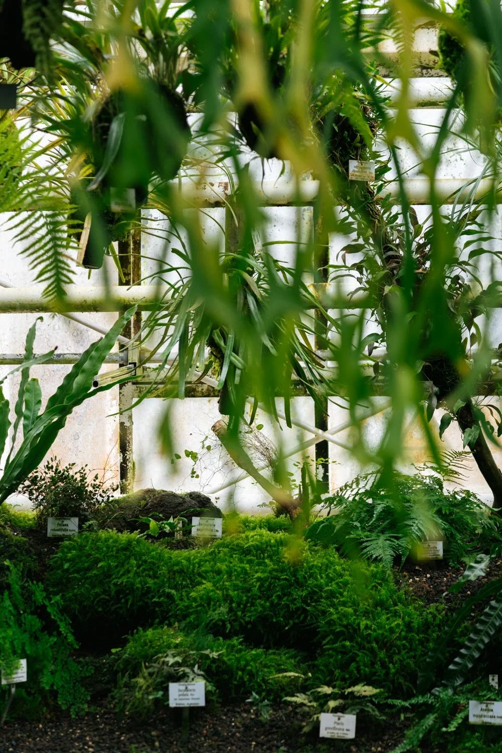 2024_10_Botanischer_Garten-5566.jpg