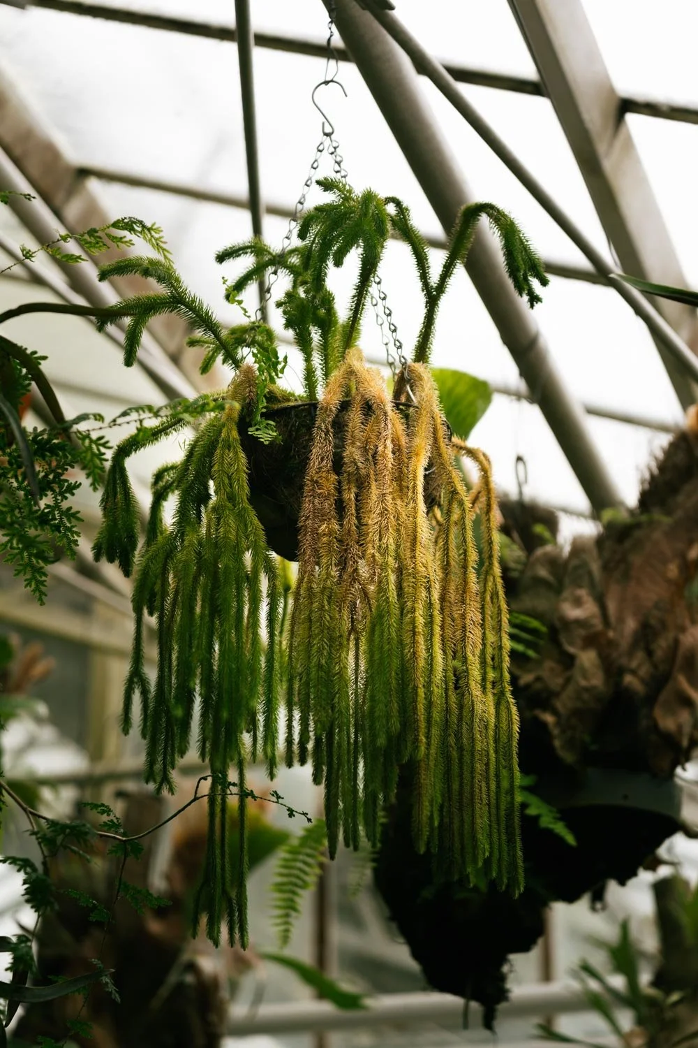 2024_10_Botanischer_Garten-5560.jpg