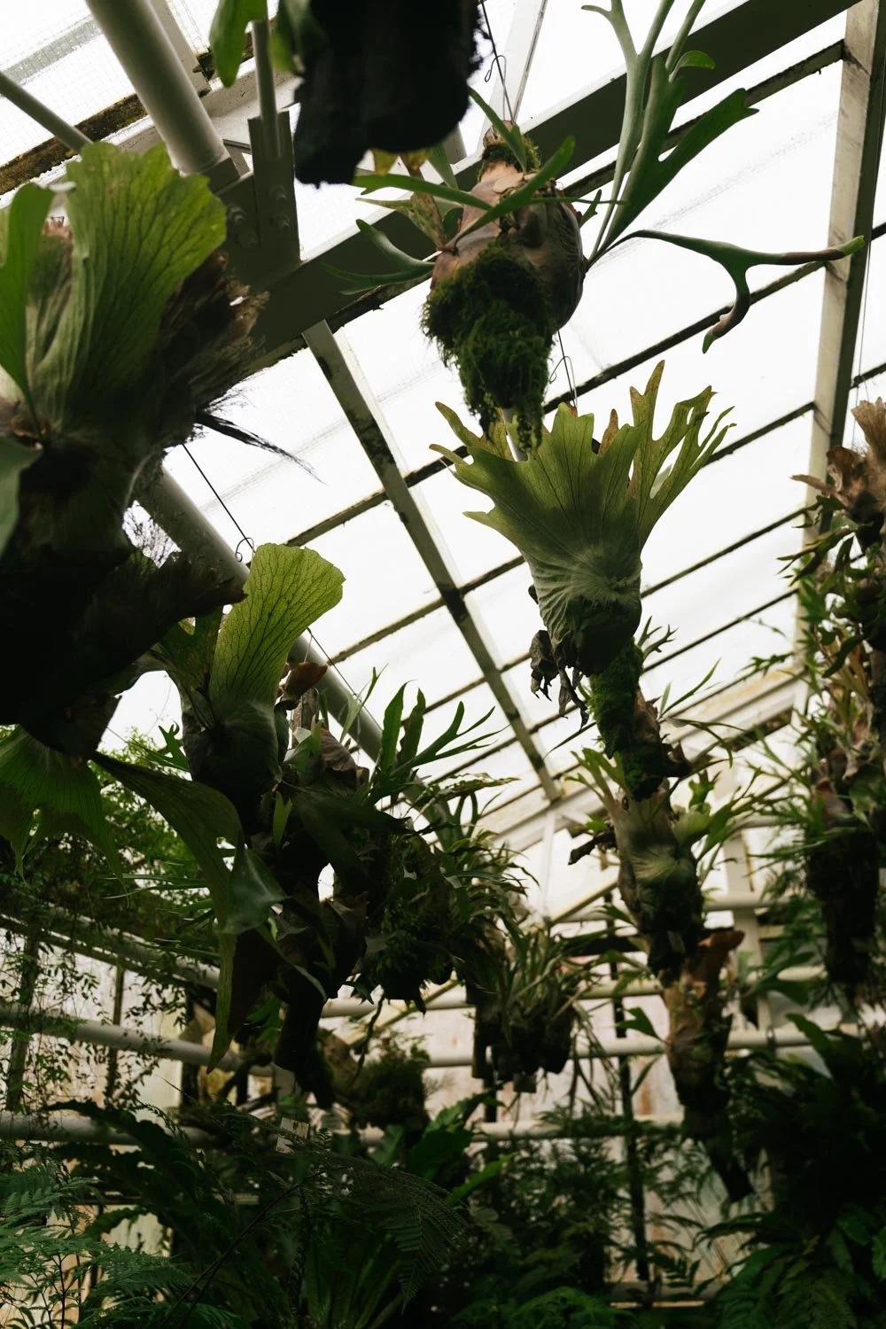 2024_10_Botanischer_Garten-5549.jpg