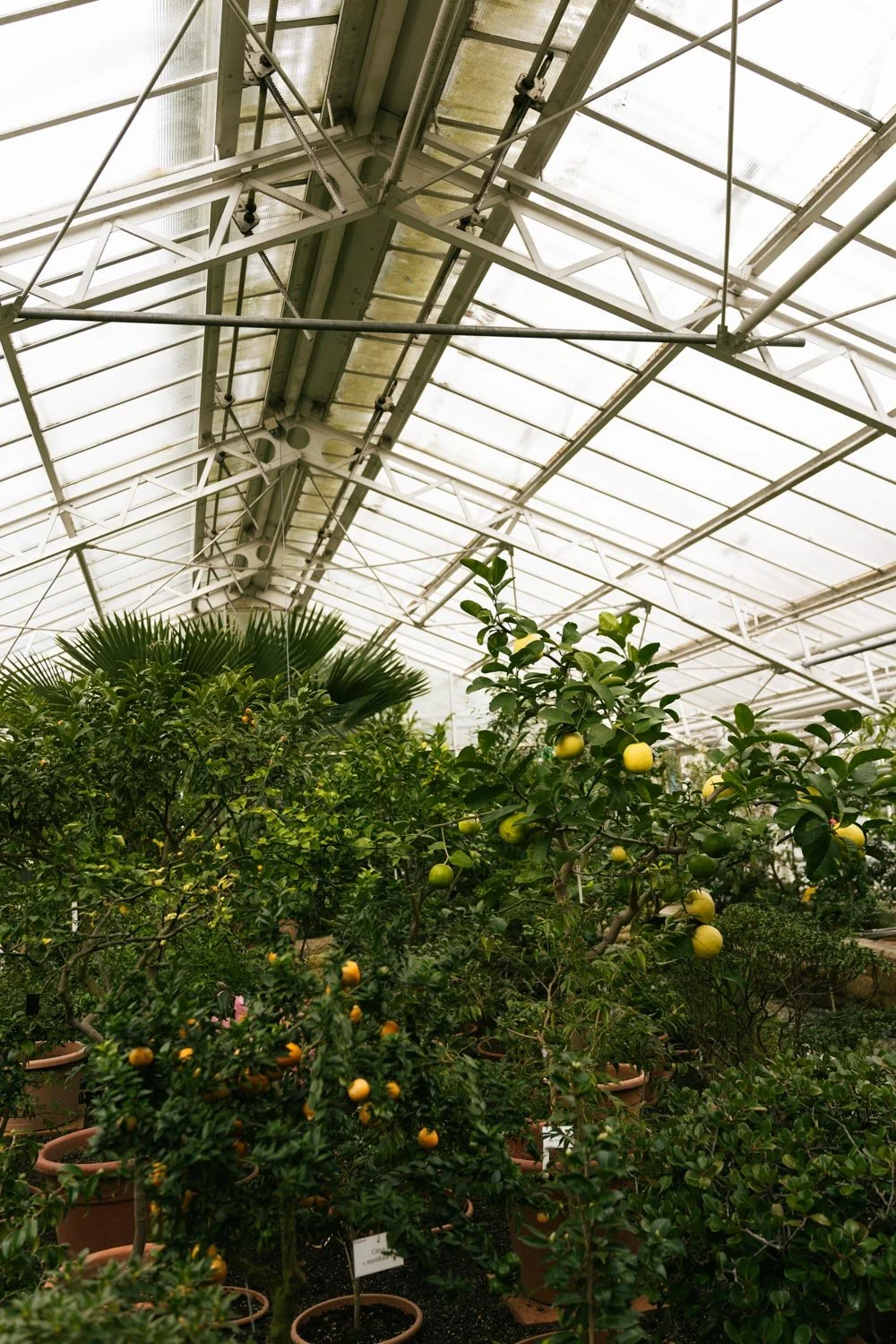 2024_10_Botanischer_Garten-5536.jpg