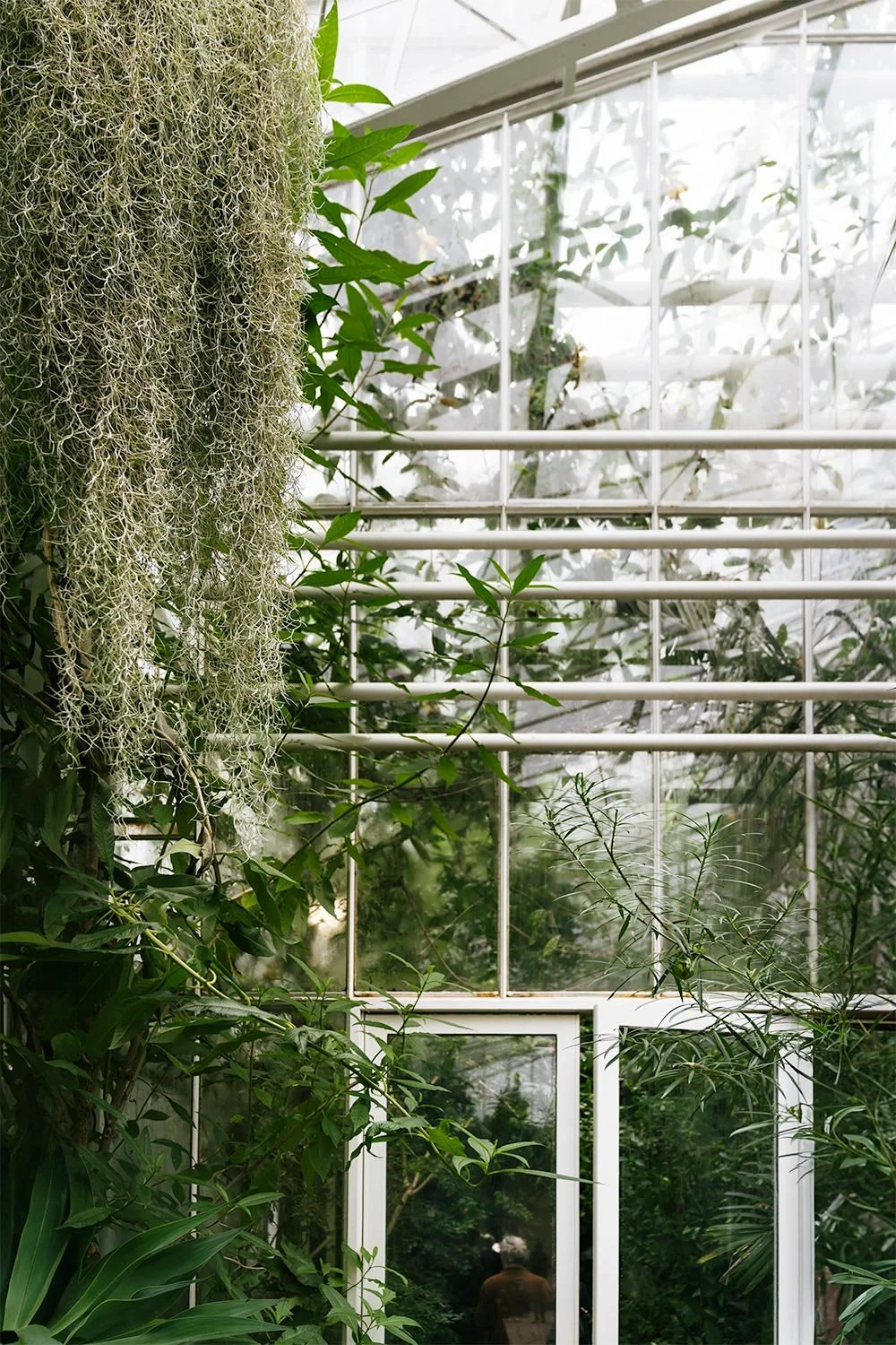 2024_10_Botanischer_Garten-5630.jpg