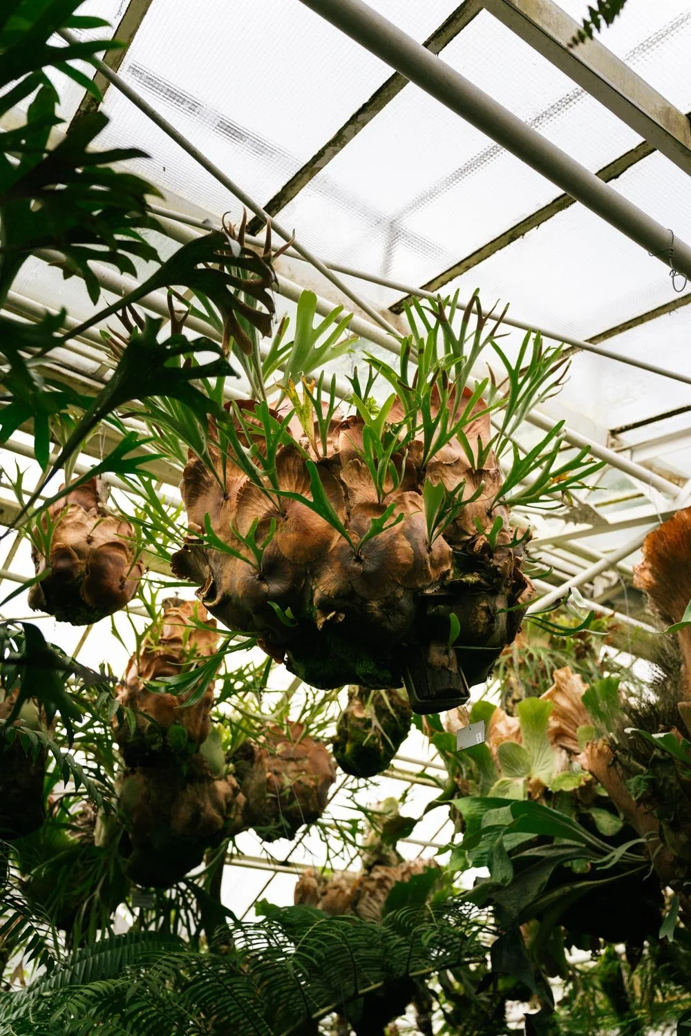2024_10_Botanischer_Garten-5569.jpg