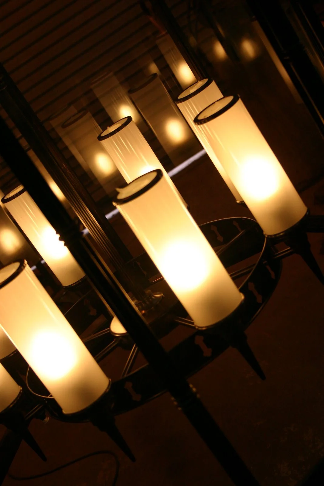 Tregothnan Lights 