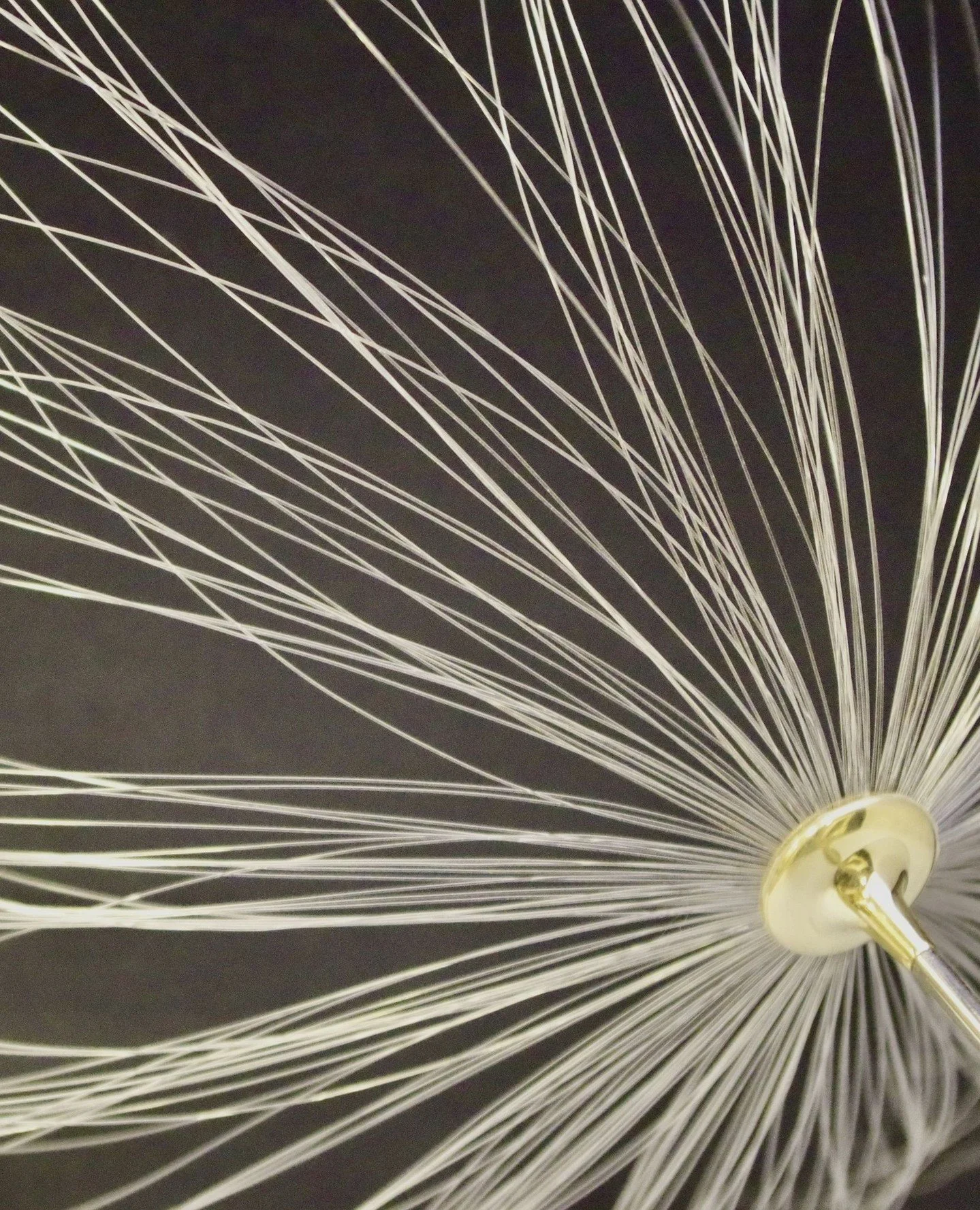 Quite literally as delicate as a flower.  Inspired by the millions of dandelion heads that fill the fields surrounding our workshop at this time of year.  Nature is a wonderful source of inspiration.⁠
⁠