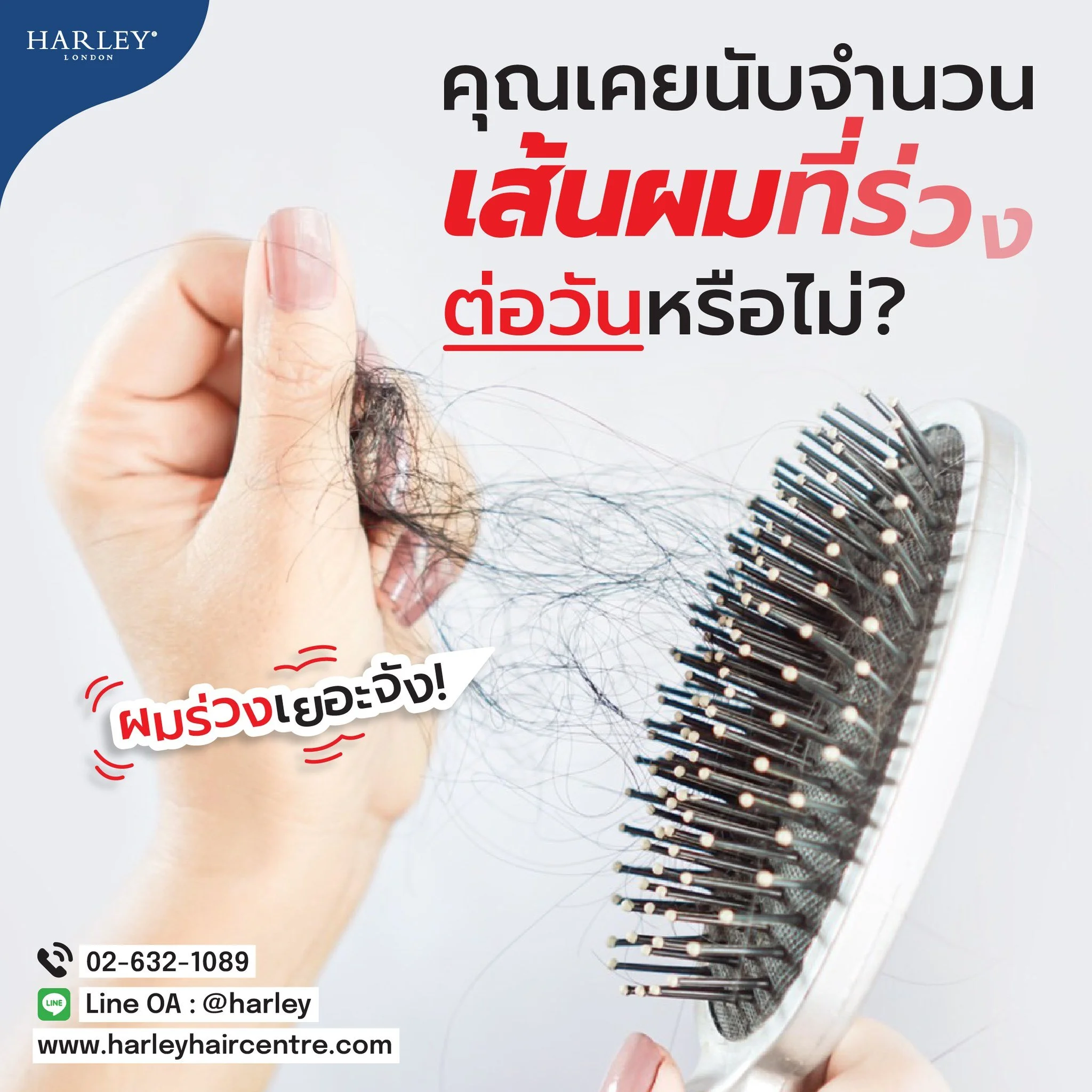 คุณเคยนับจำนวนเส้นผมที่ร่วงต่อวันหรือไม่❓

อะไรคือข้อเท็จจริงเกี่ยปัญหาผมร่วง (Hair Loss) 
หากคุณสงสัยว่าคุณกำลังผมร่วงอย่างผิดปกติ...สิ่งแรกที่ Harley St. Hair Centre แนะนำให้คุณต้องเริ่มสังเกตและบันทึกข้อมูลคือจำนวนเส้นผมที่ร่วงในแต่ละวัน จำนวนเส้น
