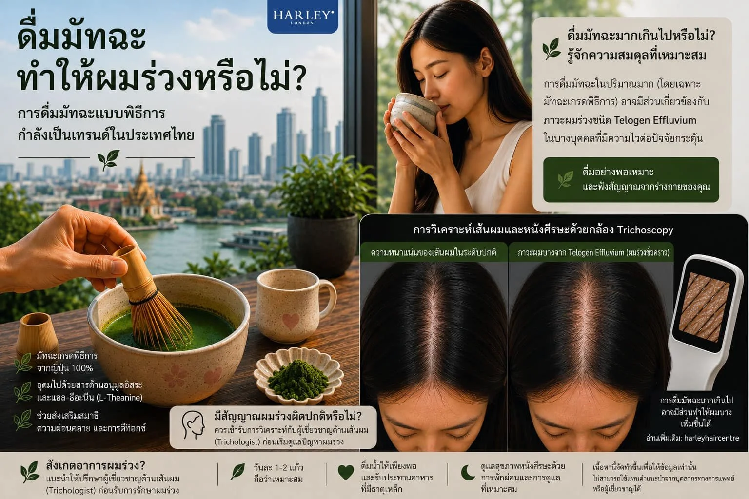 ด้านมืดของกระแสชาเขียวฟีเวอร์: การดื่มมัทฉะมากเกินไปในประเทศไทย อาจเป็นตัวการเงียบที่ทำให้ผมร่วงเฉียบพลันและเรื้อรังได้อย่างไร