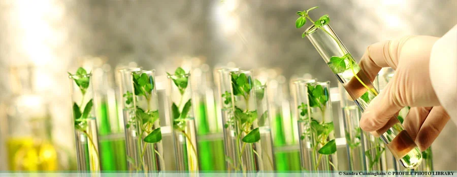 Is Hair Loss Genetic? Understanding Androgenetic Alopecia