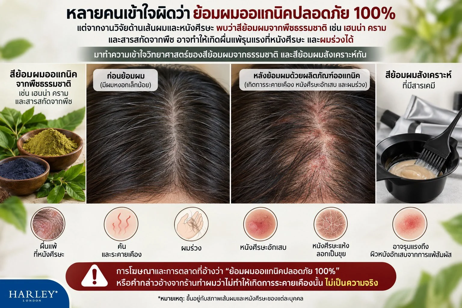 ภาพเปรียบเทียบการใช้สีย้อมผมออร์แกนิก ทำลายหนังศีรษะและทำให้ผมร่วงได้จริงหรือ?