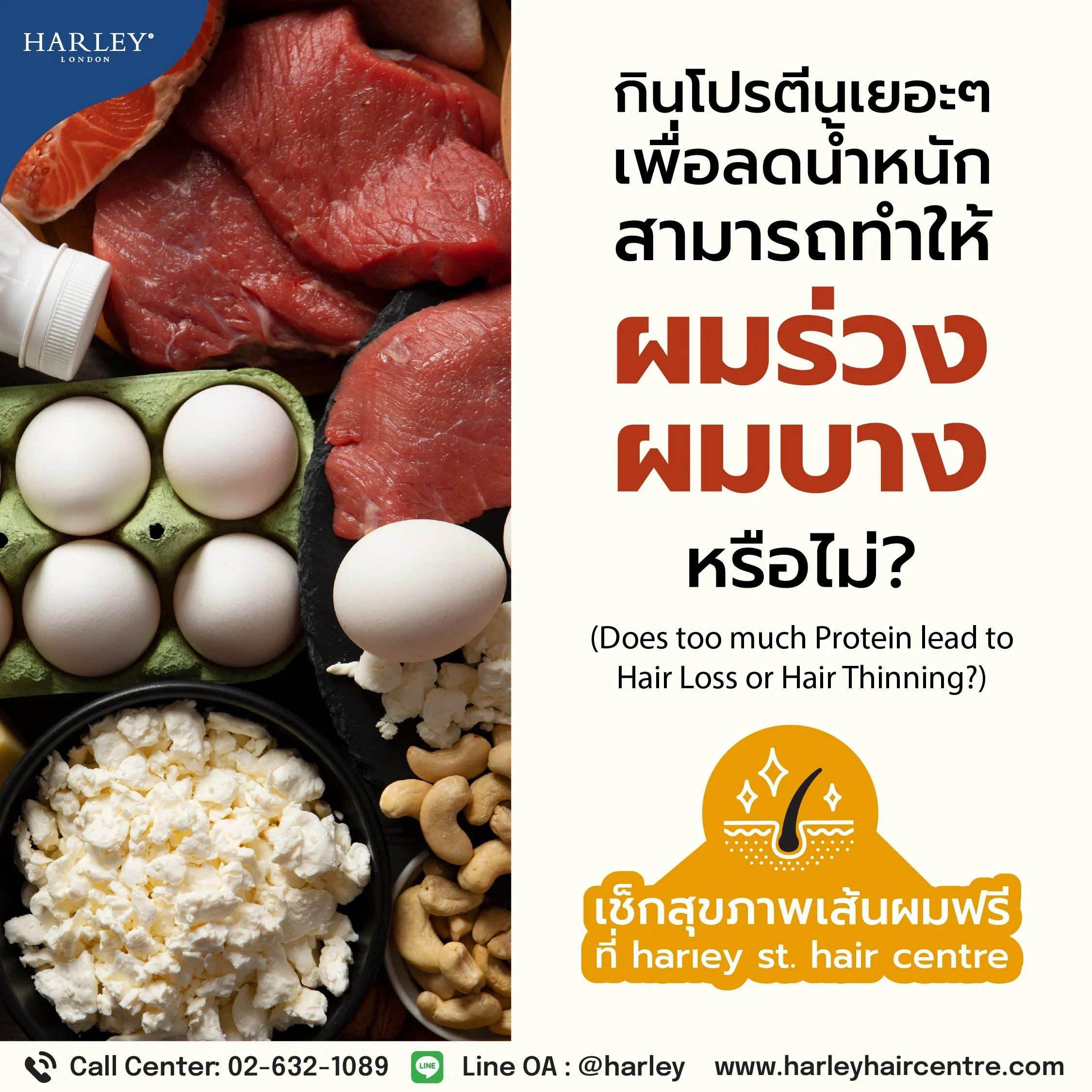 ความสัมพันธ์ระหว่างการบริโภคโปรตีนมากเกินไปกับปัญหาผมร่วงผมบางในระยะยาว