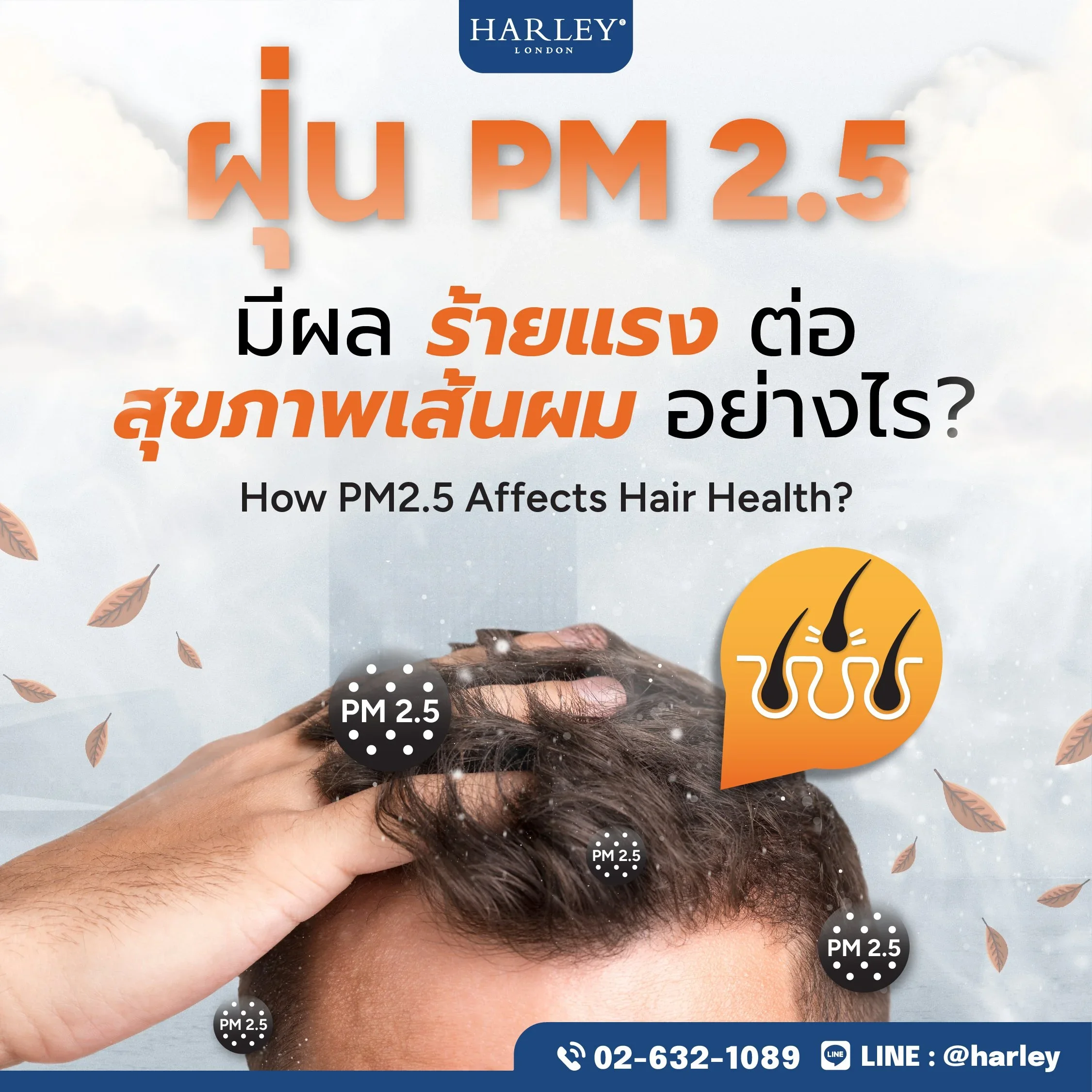 การสะสมของฝุ่น PM2.5 และสาร PAHs บนหนังศีรษะที่เป็นสาเหตุของรากผมอ่อนแอ