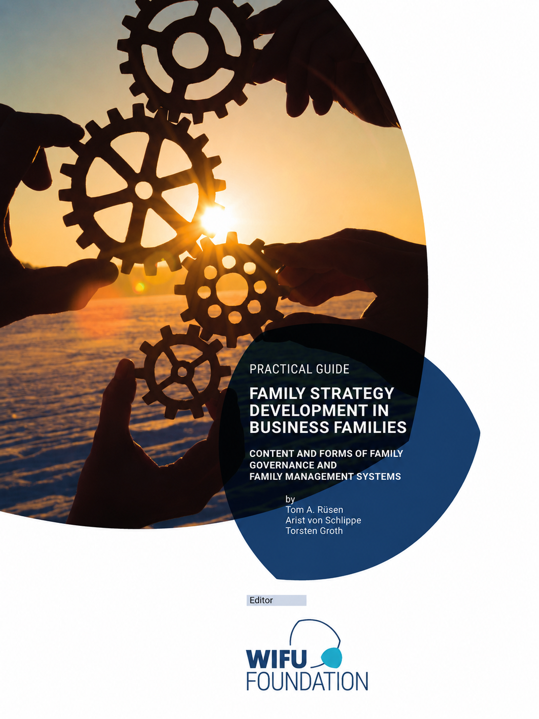 Family strategy development in business families