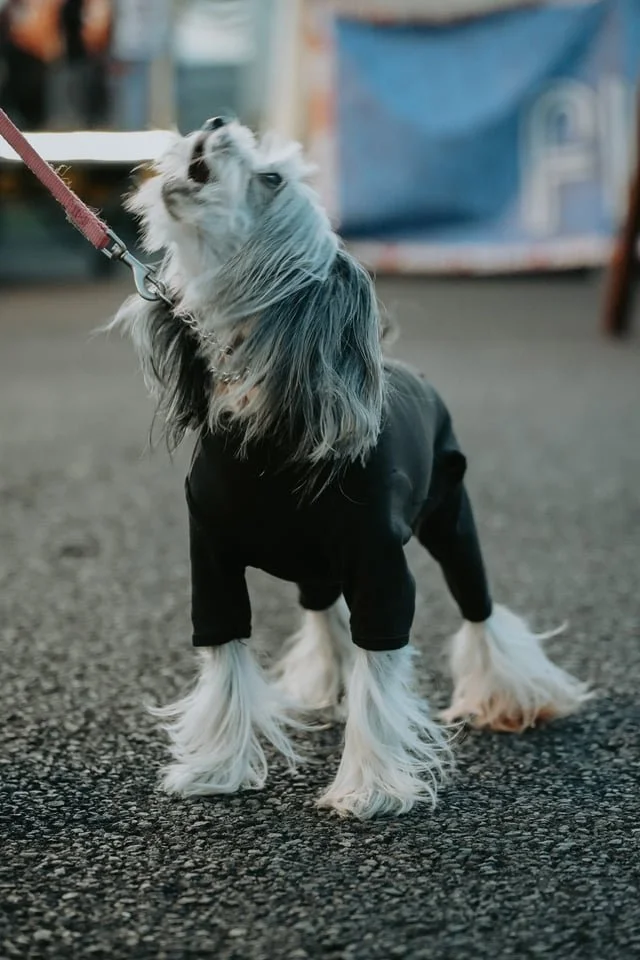 4175
