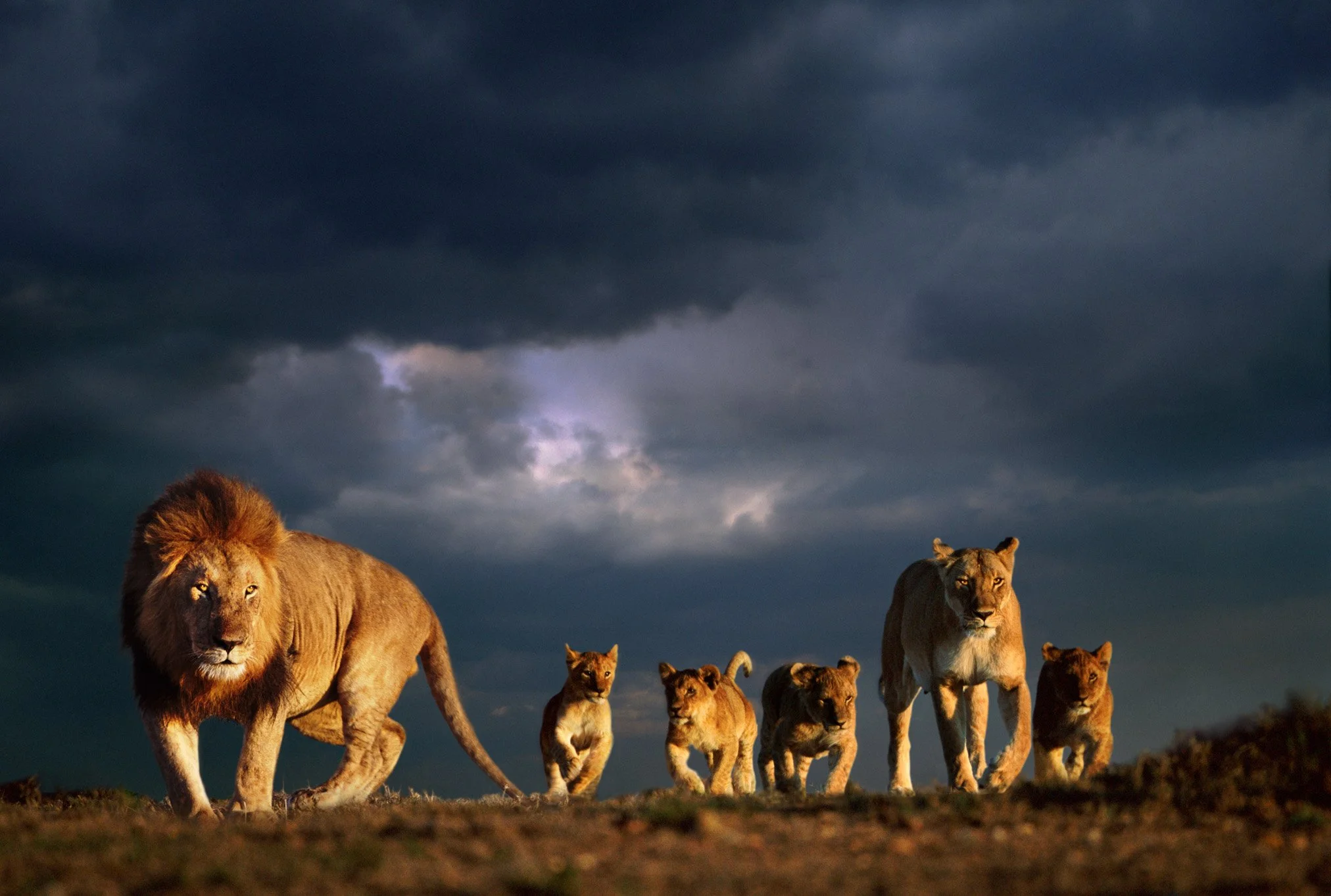 Family Secrets 2 Pride Rituals
