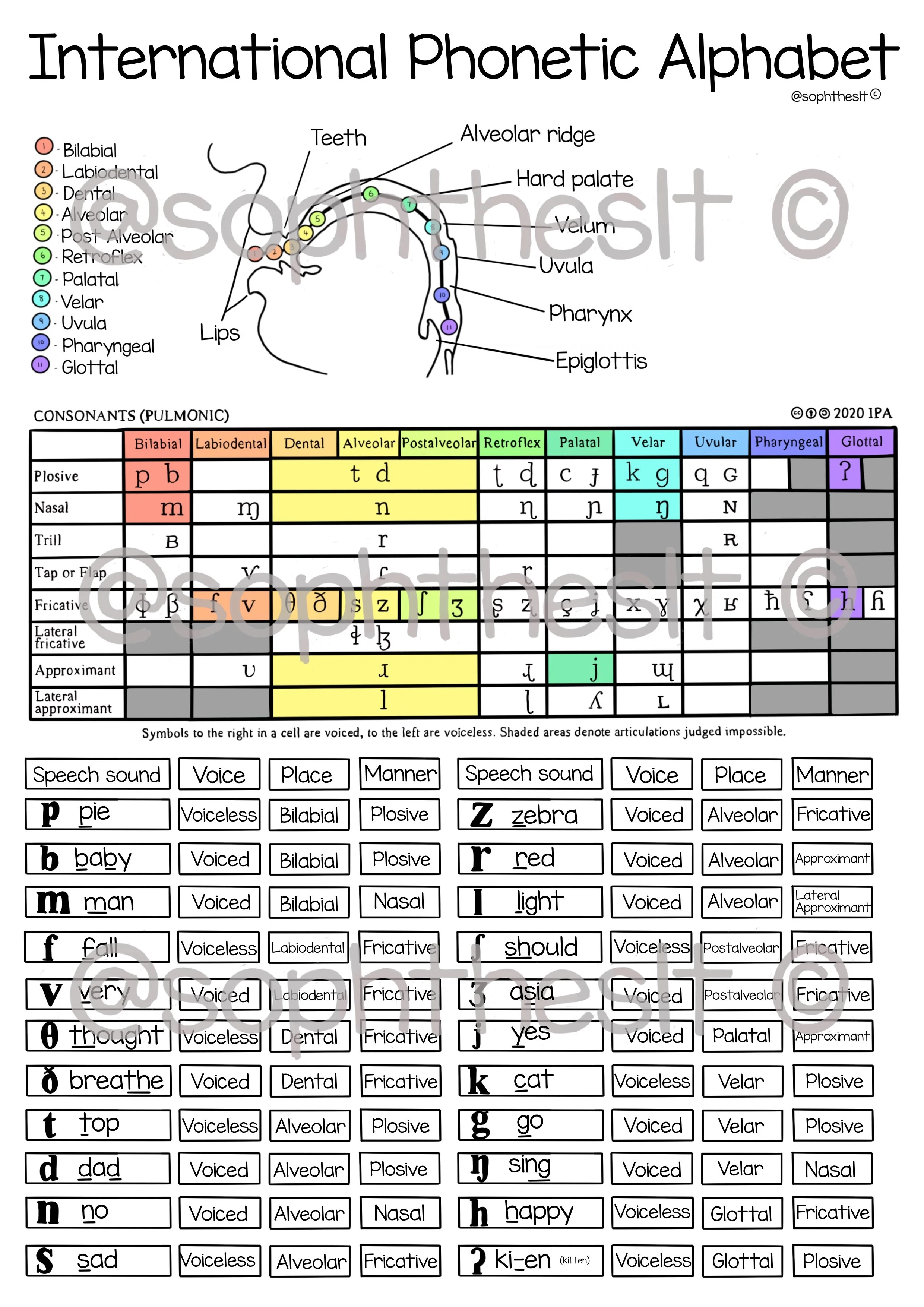 IPACheatSheet.jpeg