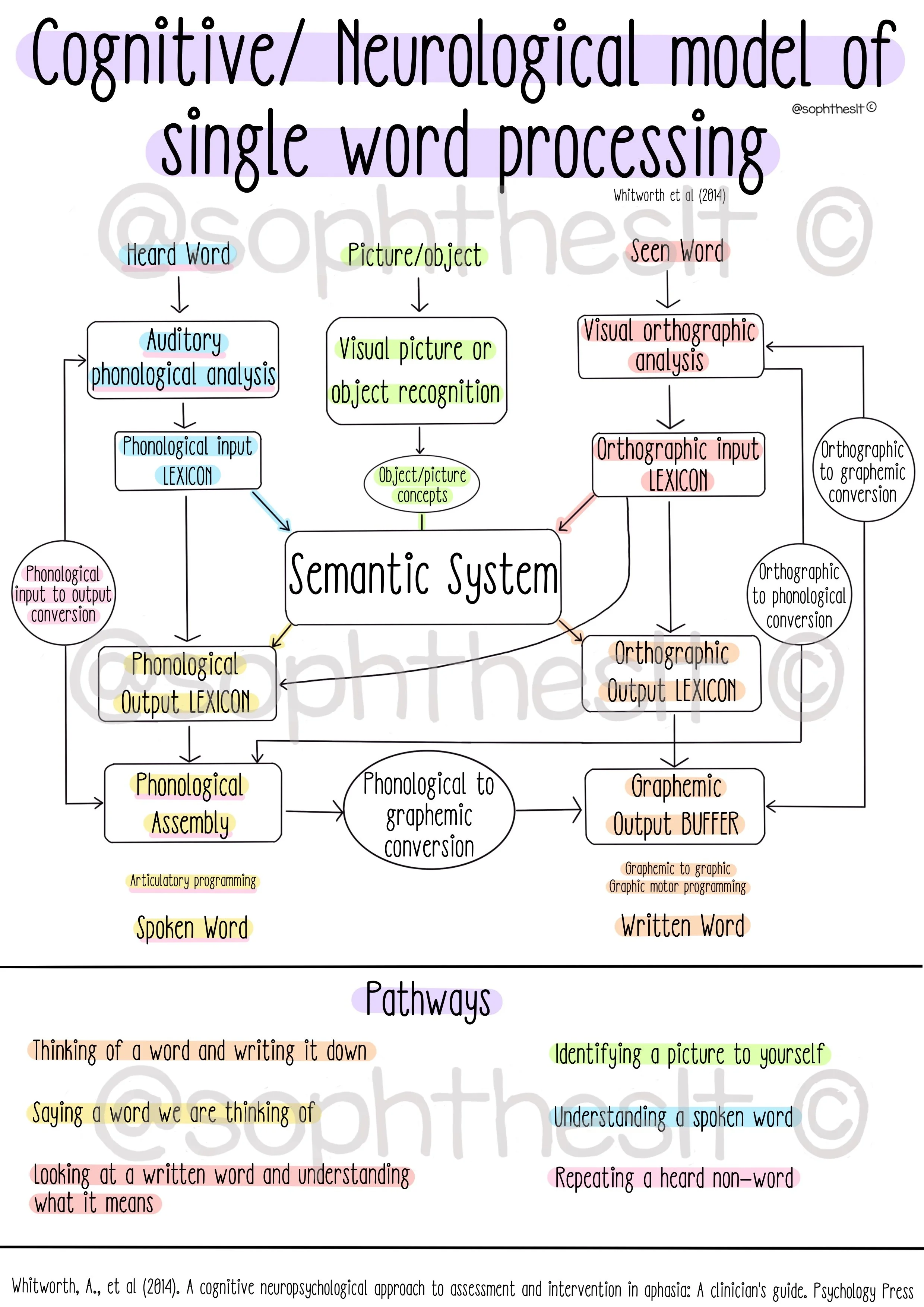 Cognitive Neurological Model Of Single Word Processing Talking Lab Cognitive Neurological Model Of Single Word Processing Talking Lab