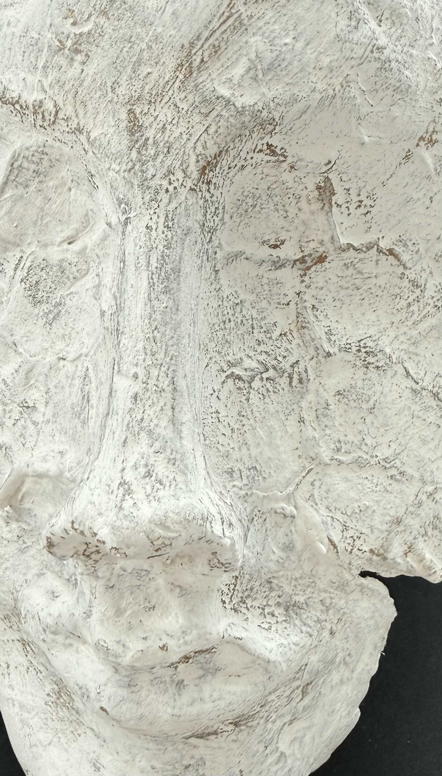 tempImage3JsqY6.gif