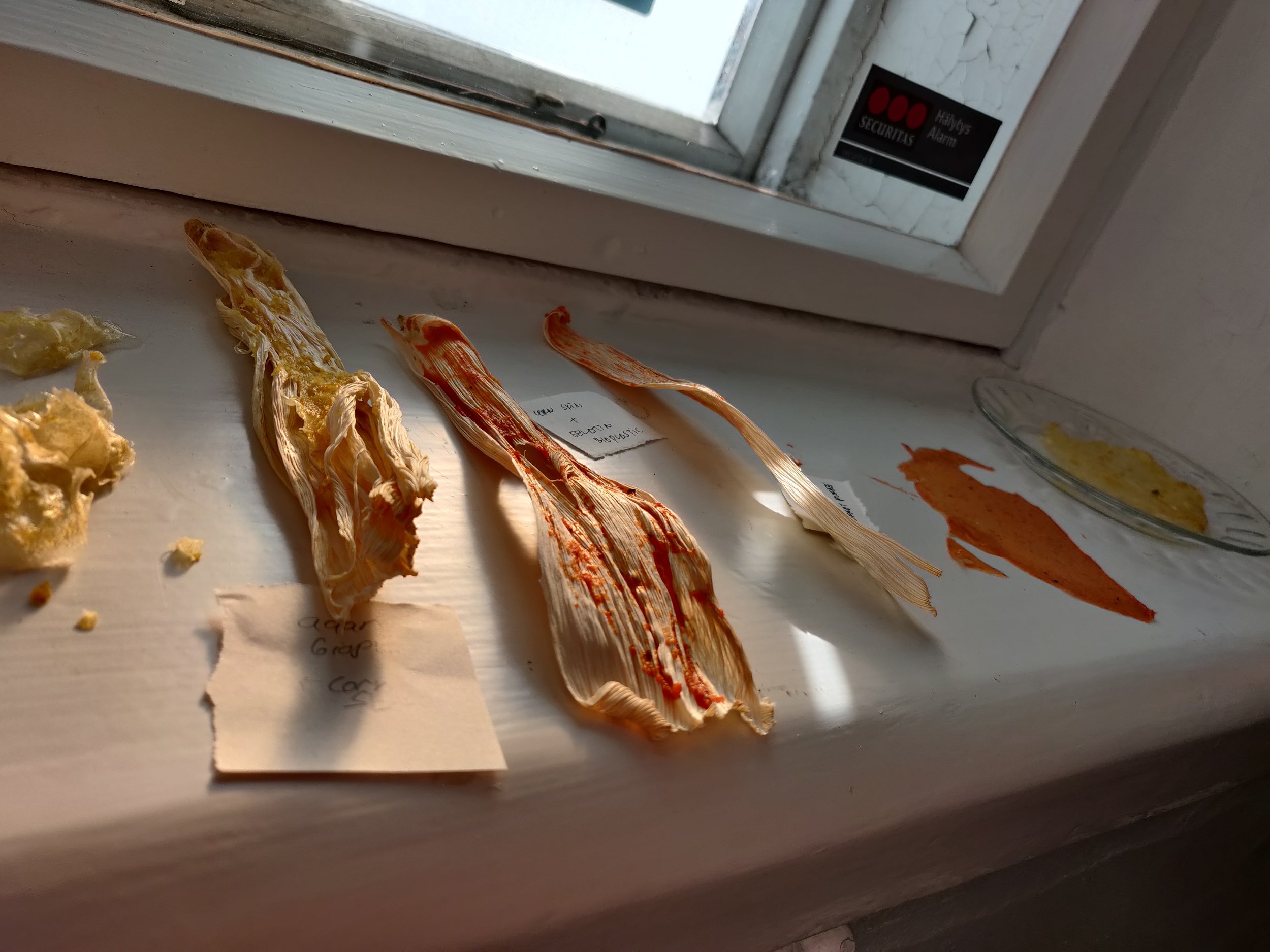 Dried corn husks and a smear of orange paint on a white windowsill near a window with a security sticker.