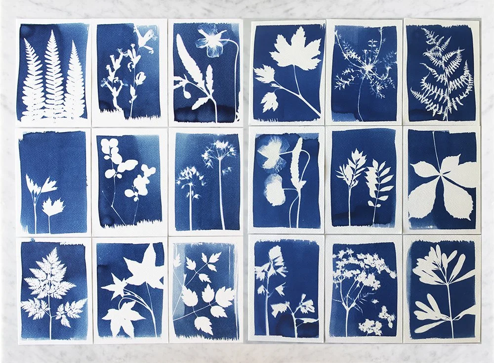 Collection of tear-out plant silhouettes on blue backgrounds arranged in a grid of 15 sheets.