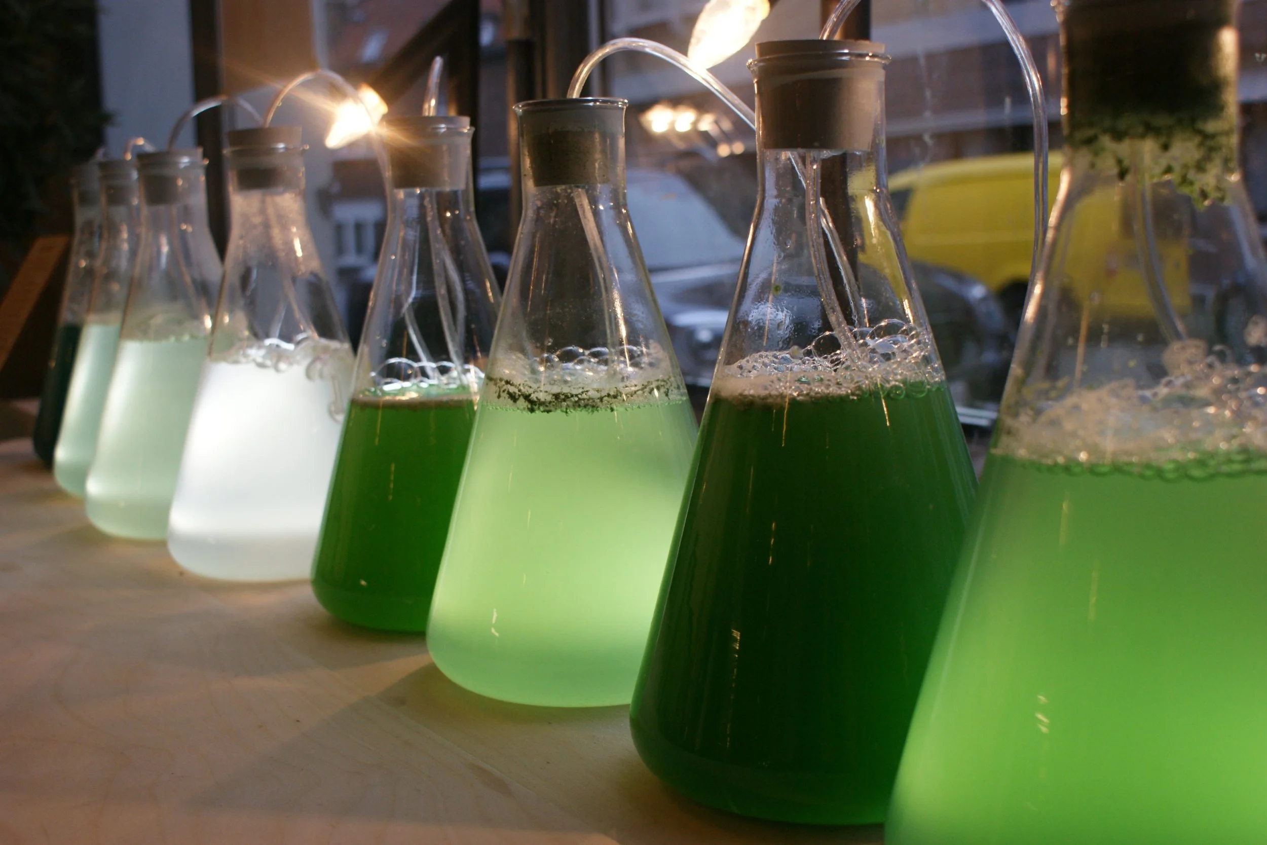 A display of glass bottles filled with colorful liquids, arranged in a row on a wooden surface, with straw dispensers inside each bottle for pouring.