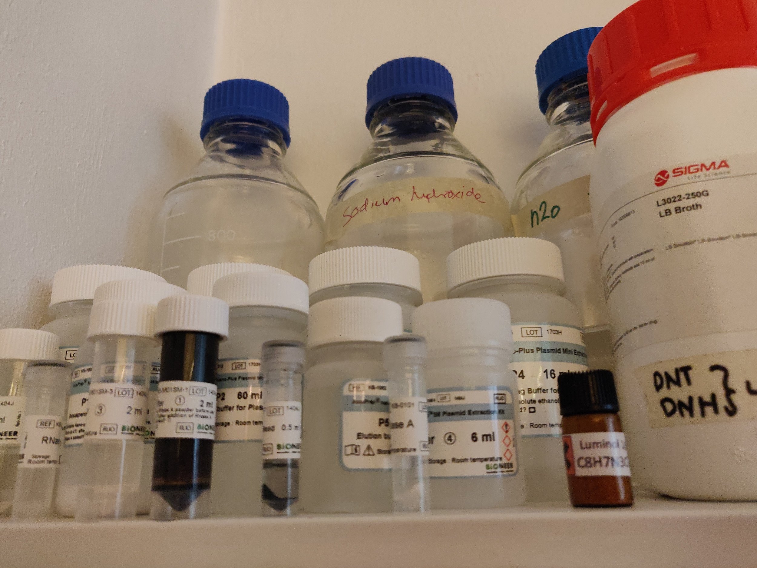 Collection of laboratory bottles and vials with labels, some handwritten, containing chemicals like sodium hydroxide and water, stored on a white shelf.