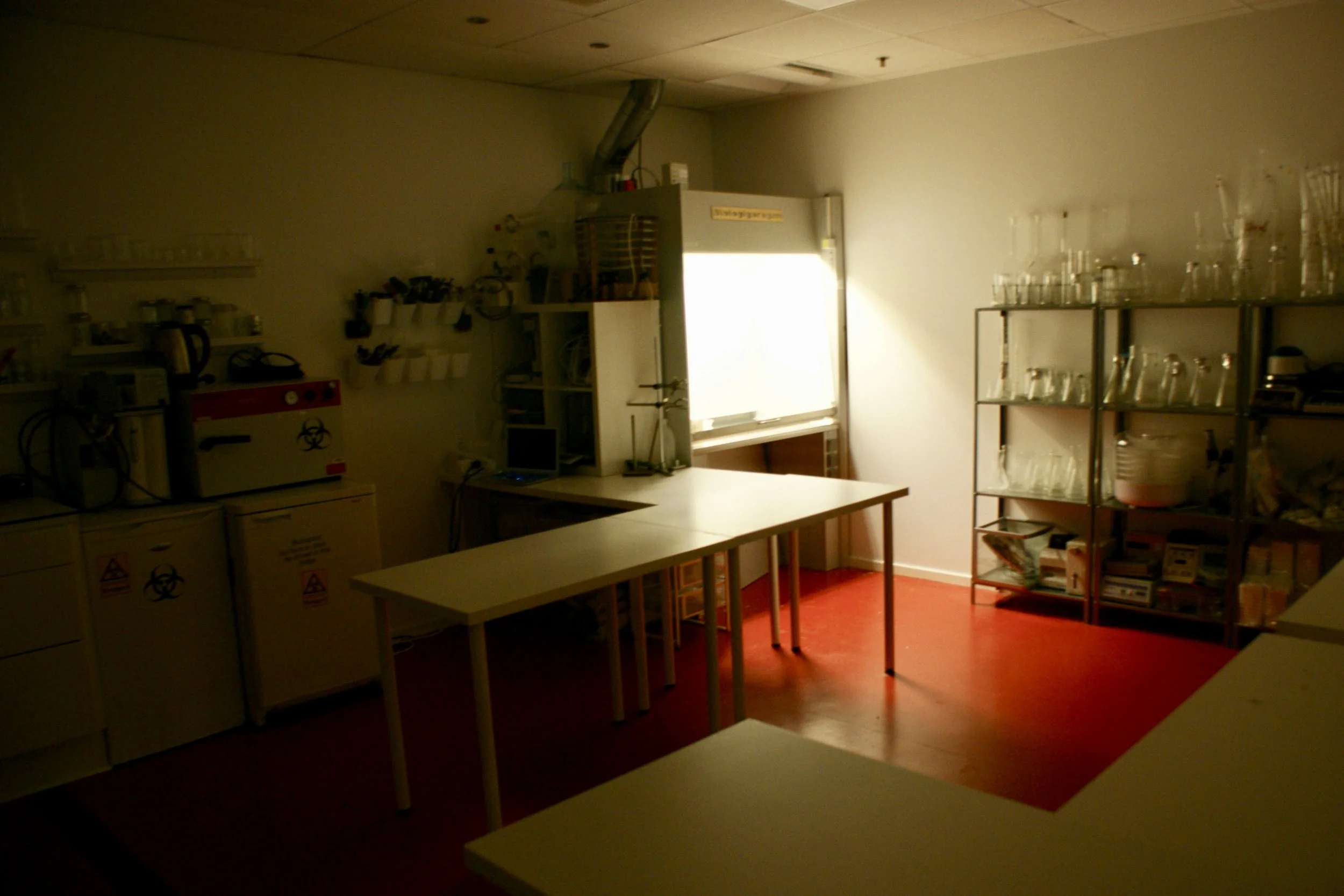 A dimly lit laboratory with laboratory equipment, glassware, and shelves, illuminated by natural light from a window.