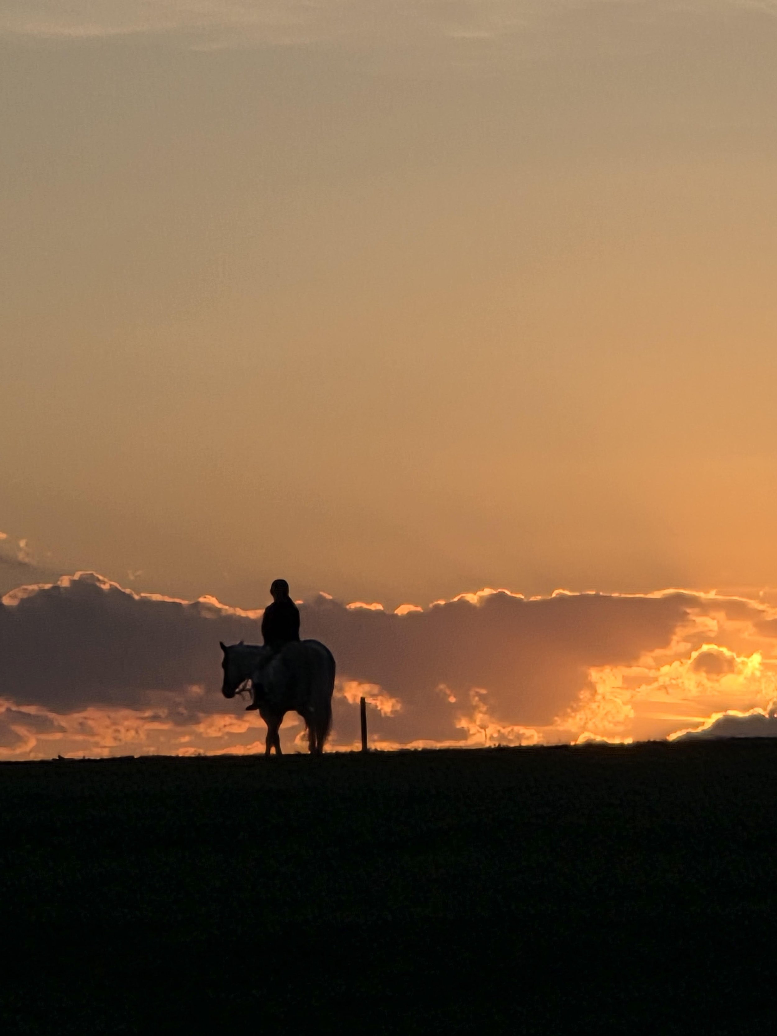 Riding off into the sunset — Freedom and the enduring American frontier spirit. It symbolizes the journey through 250 years of history of independence, westward expansion, and the quiet reflection on the nation's rugged roots.