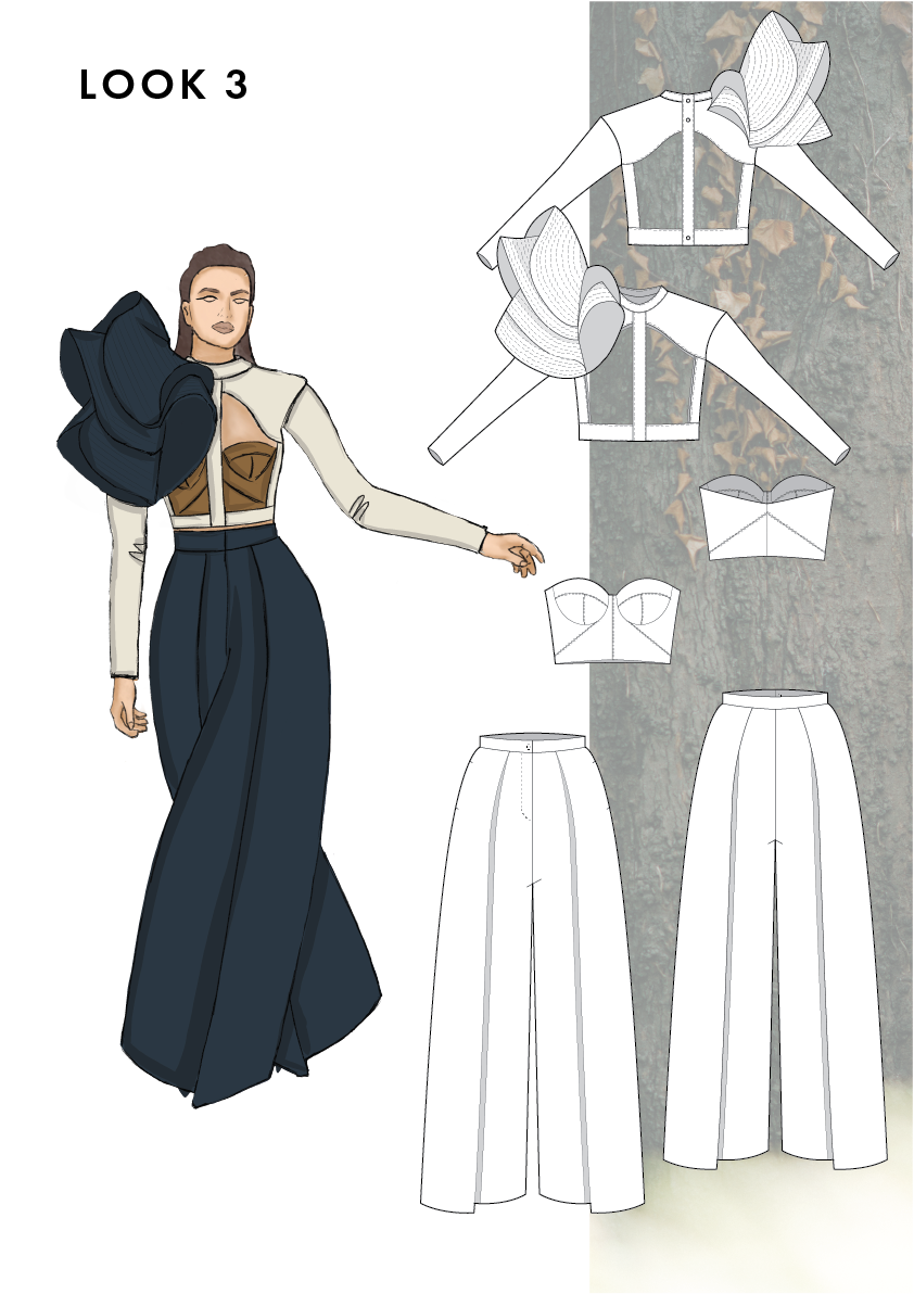 Asset 4.png