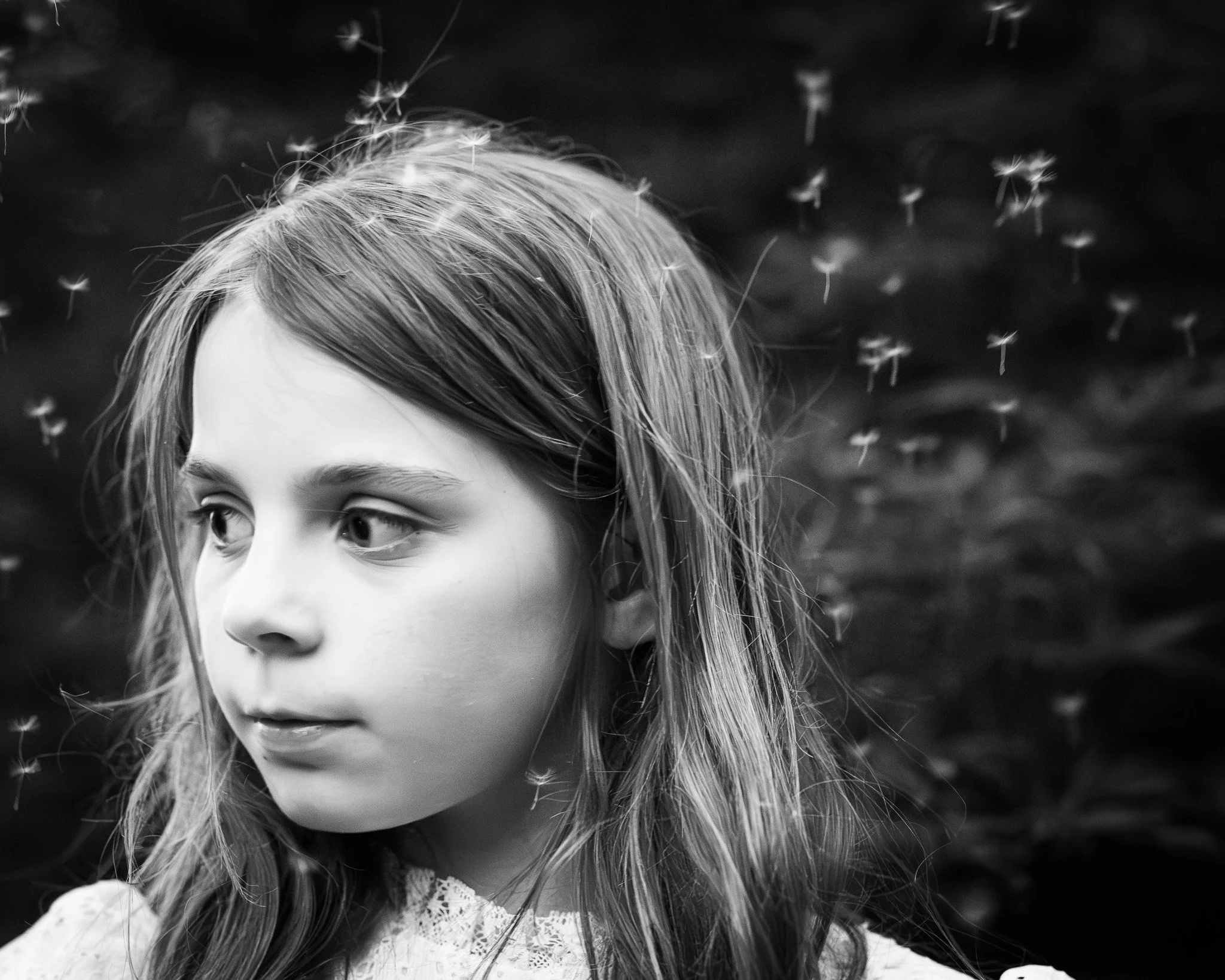 Fairydust