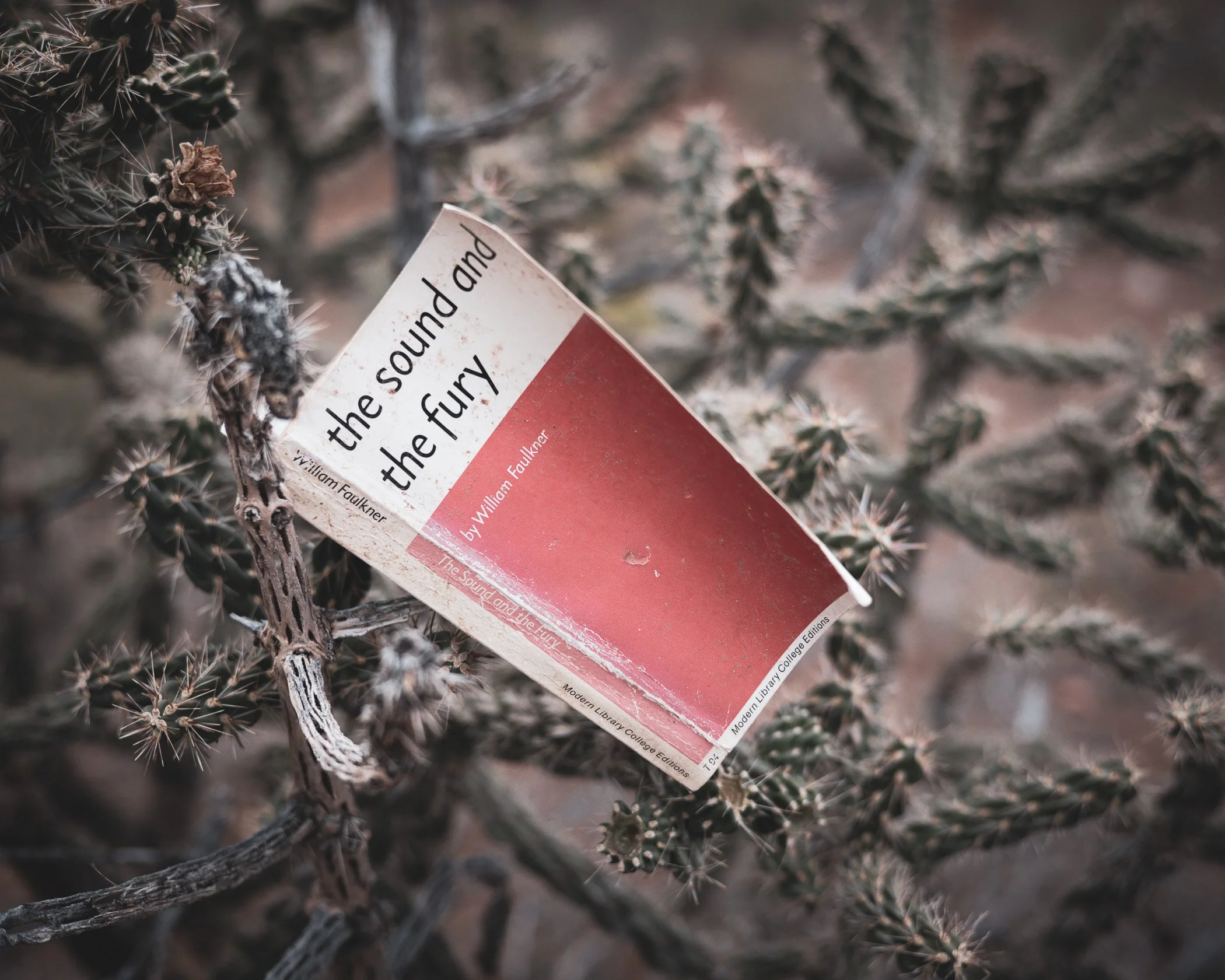 The Sound and The Fury.jpg