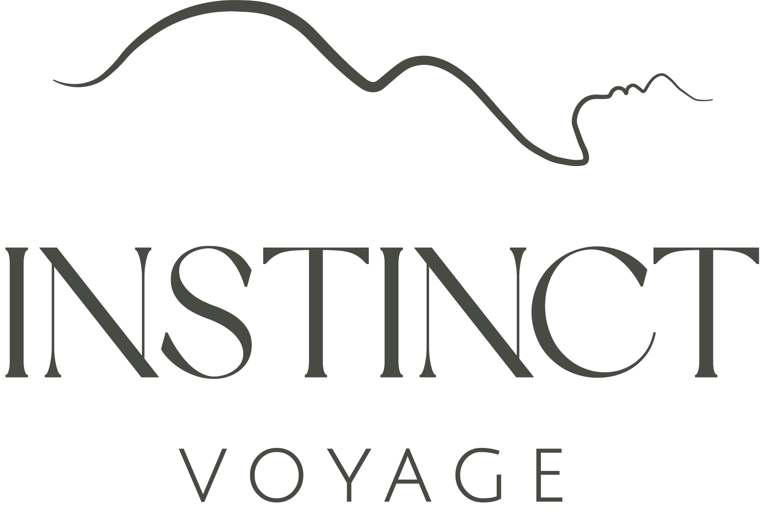 Instinct Voyage