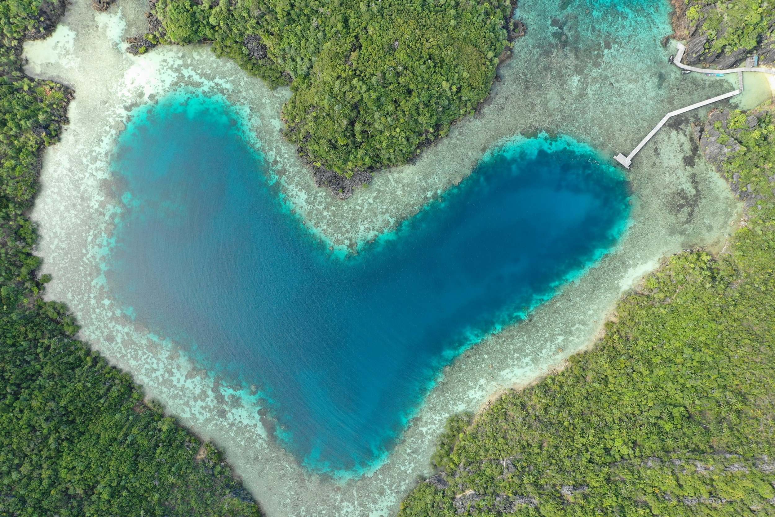 unsplash-image-uugwjAAi23Q.jpg