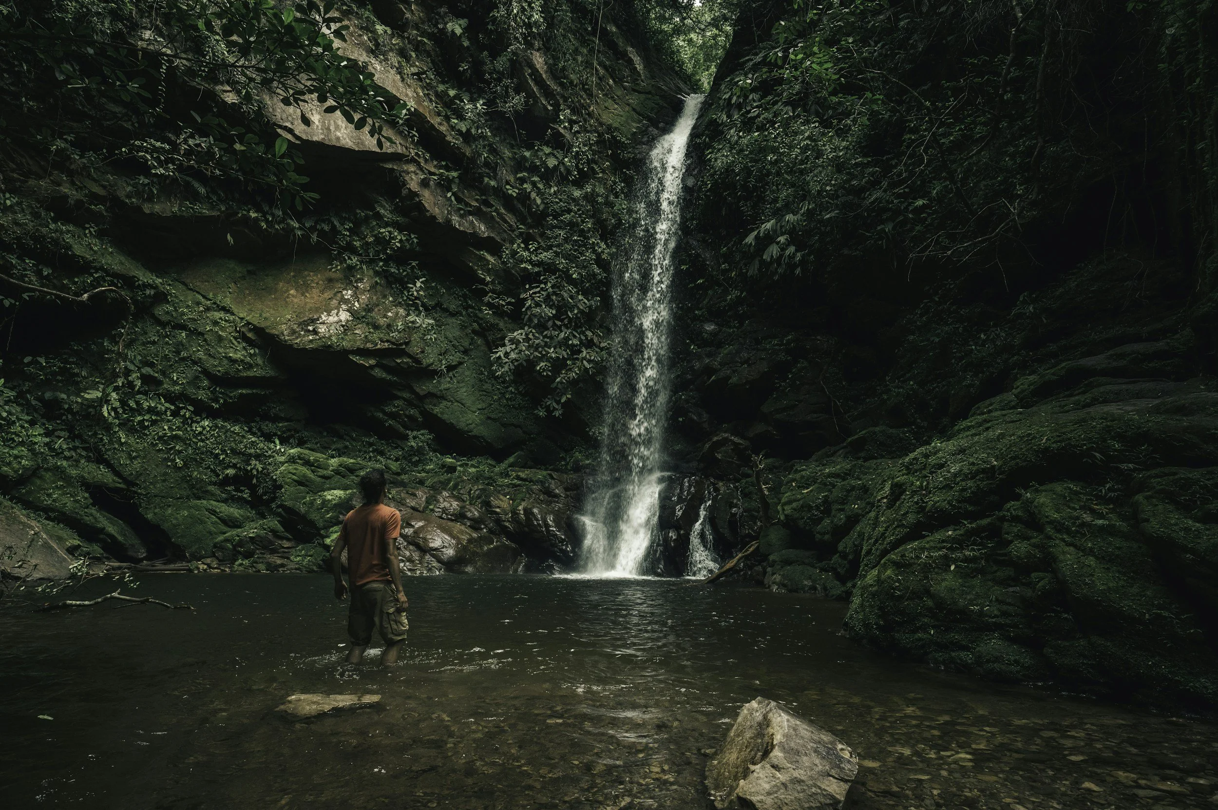 unsplash-image-YTbWJd6UV8E.jpg