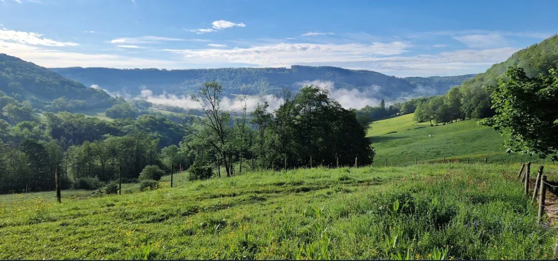 Capture d’écran 2026-02-20 063407.jpg