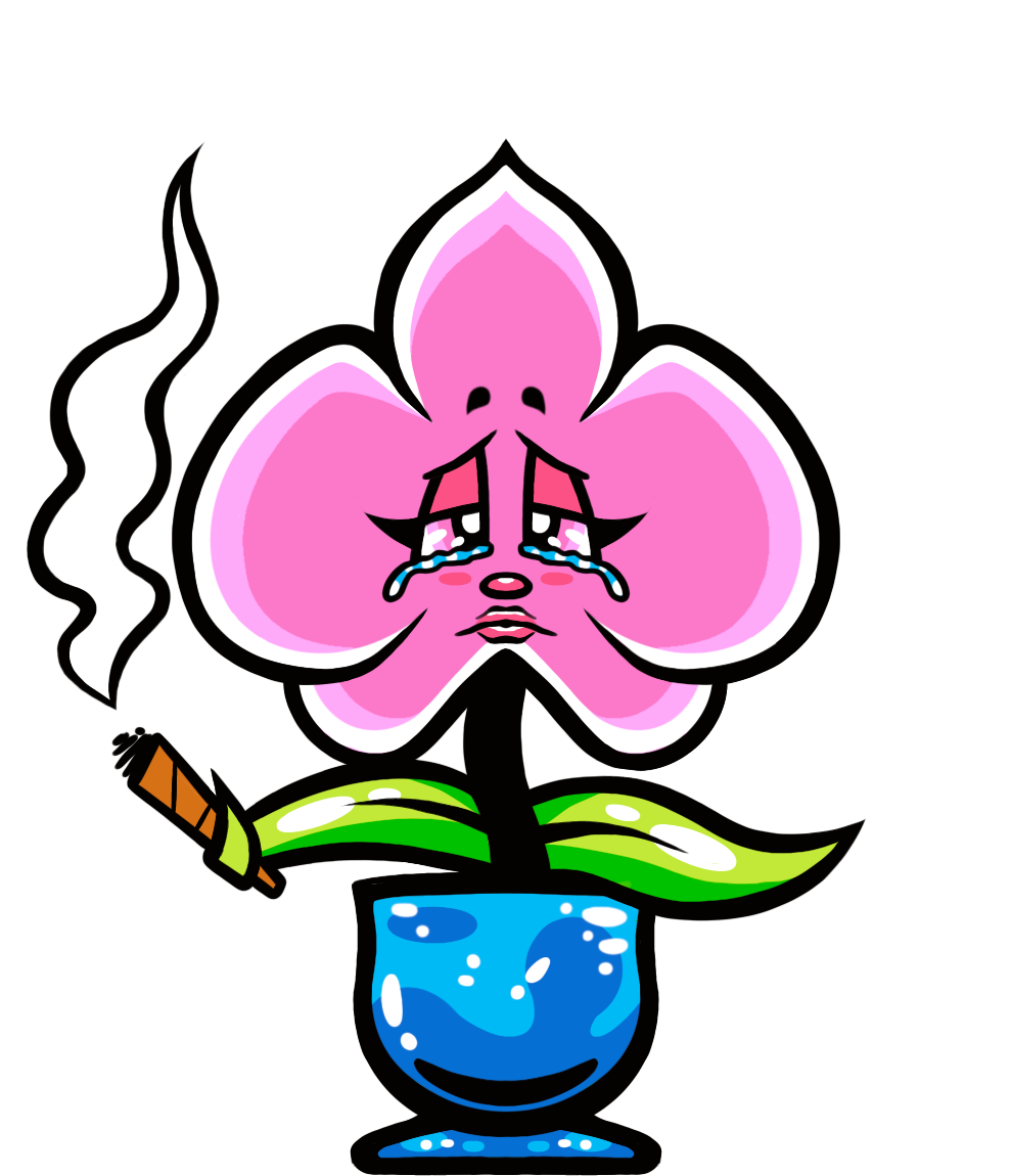 orchid_sad.png