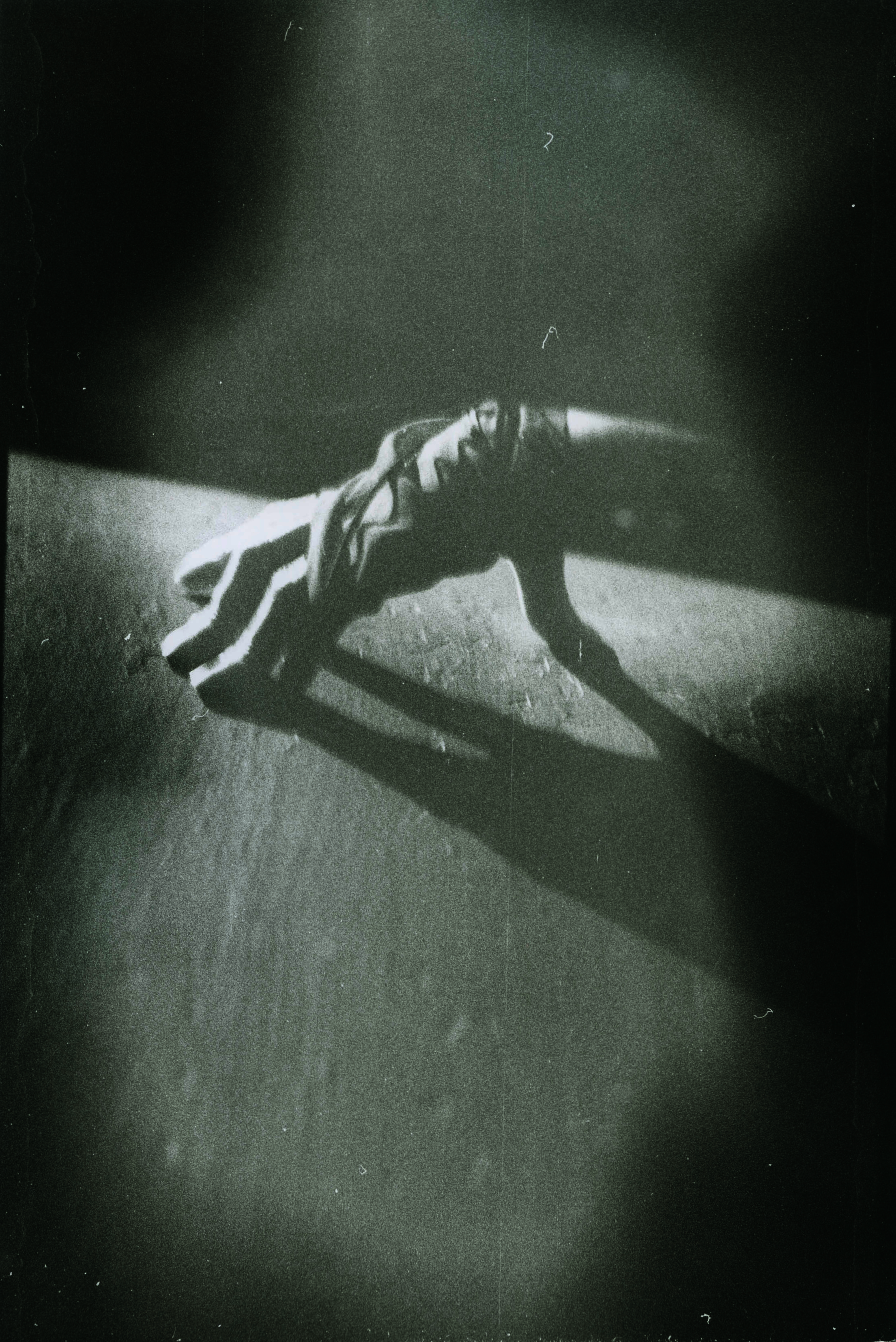 Ingrid-horsehospital (10) 2.PNG