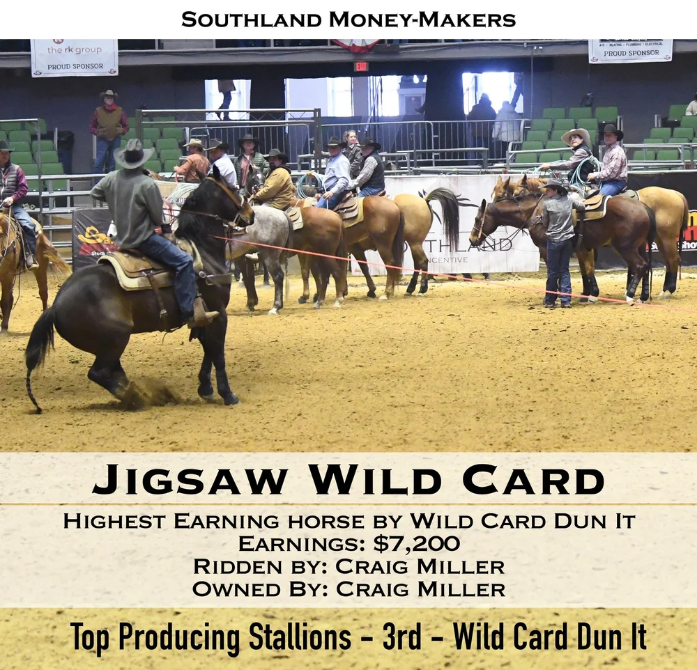 top-producing-stallion-WILD-CARD-DUN-IT-2.jpeg