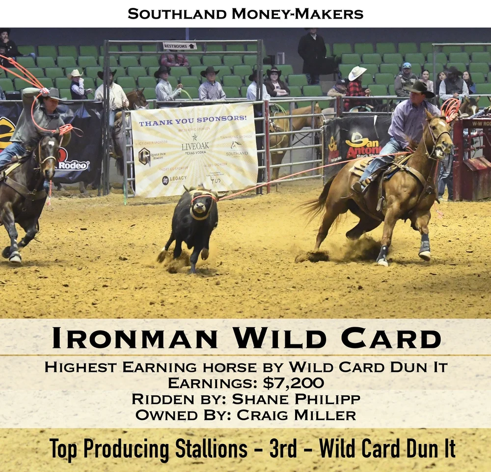top-producing-stallion-WILD-CARD-DUN-IT.jpeg