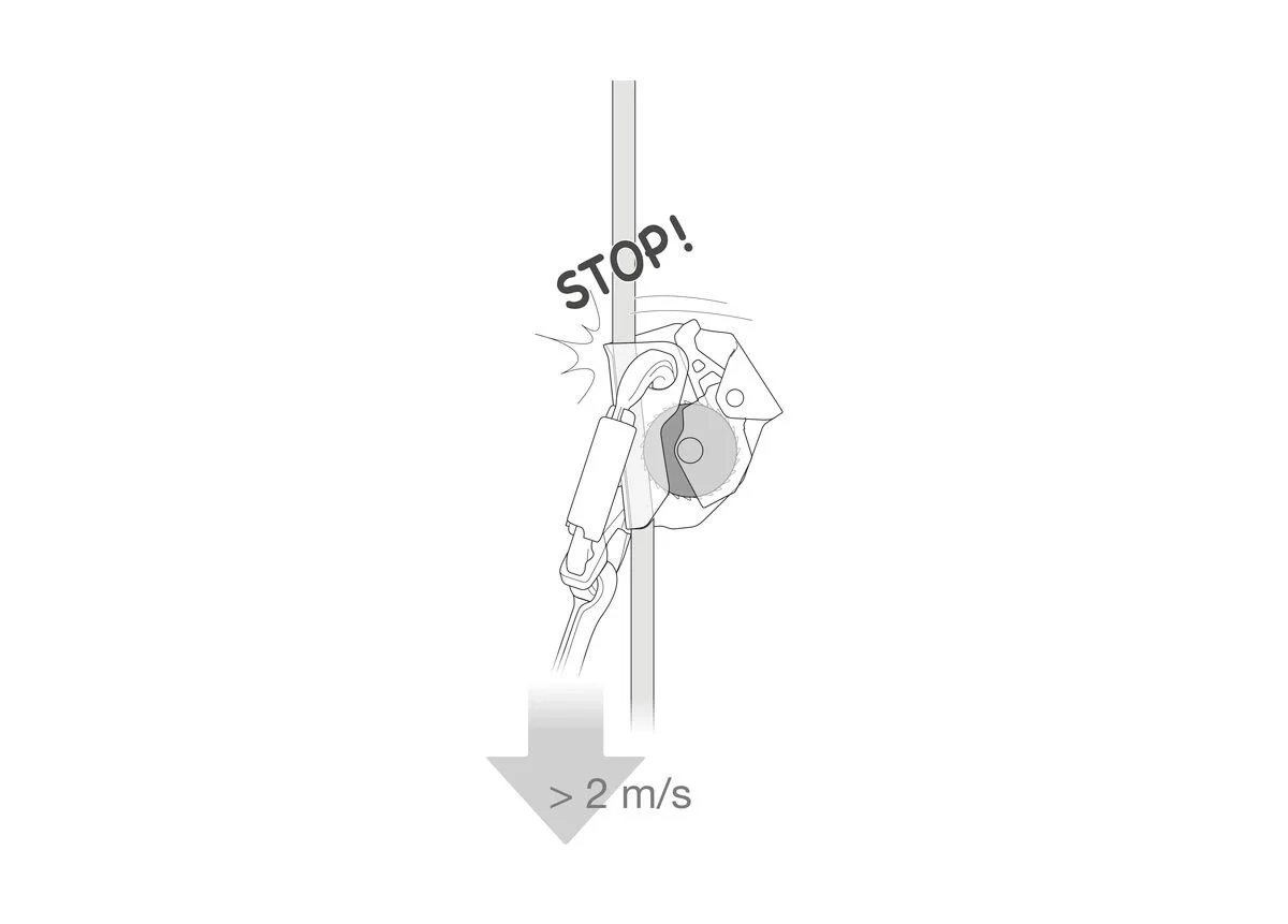B070AB00-ASAP-focus-2_LowRes.jpeg (Copy)